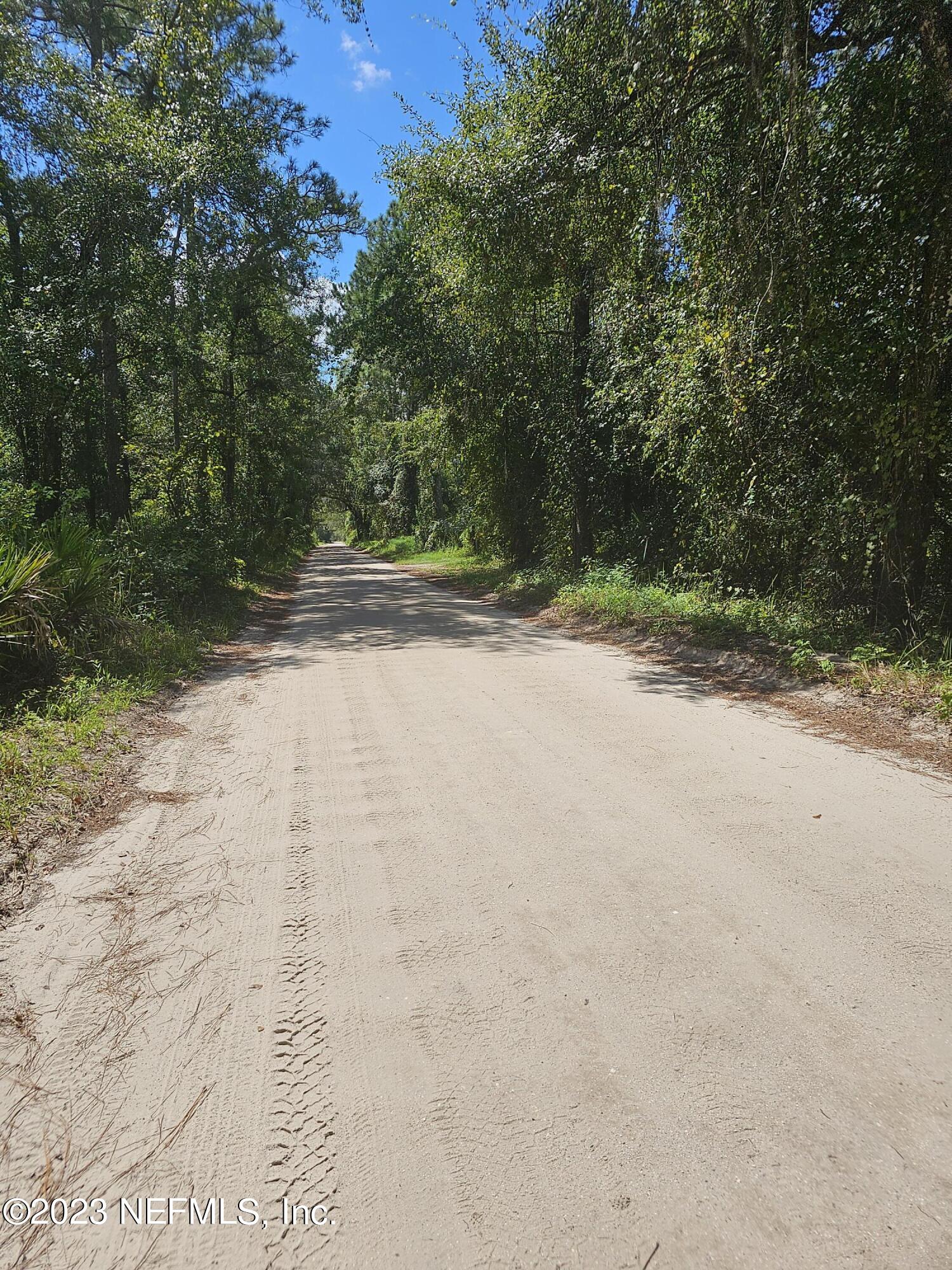 220 Chesser Road Palatka, FL 32177 - Photo 6 of 6 a view of a dirt road and trees