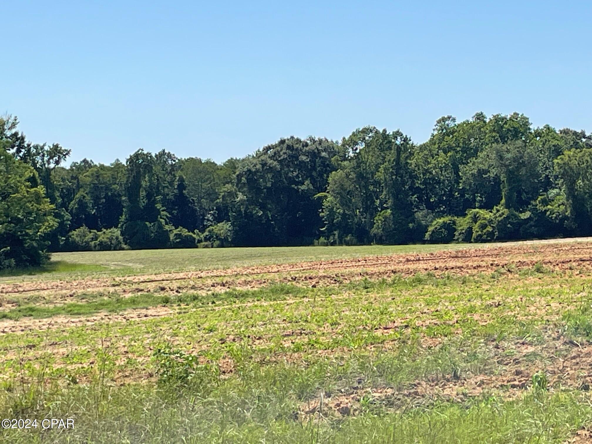 0 Gavin Road Bonifay, FL 32425 - Photo 14 of 28 Gallery Image 14