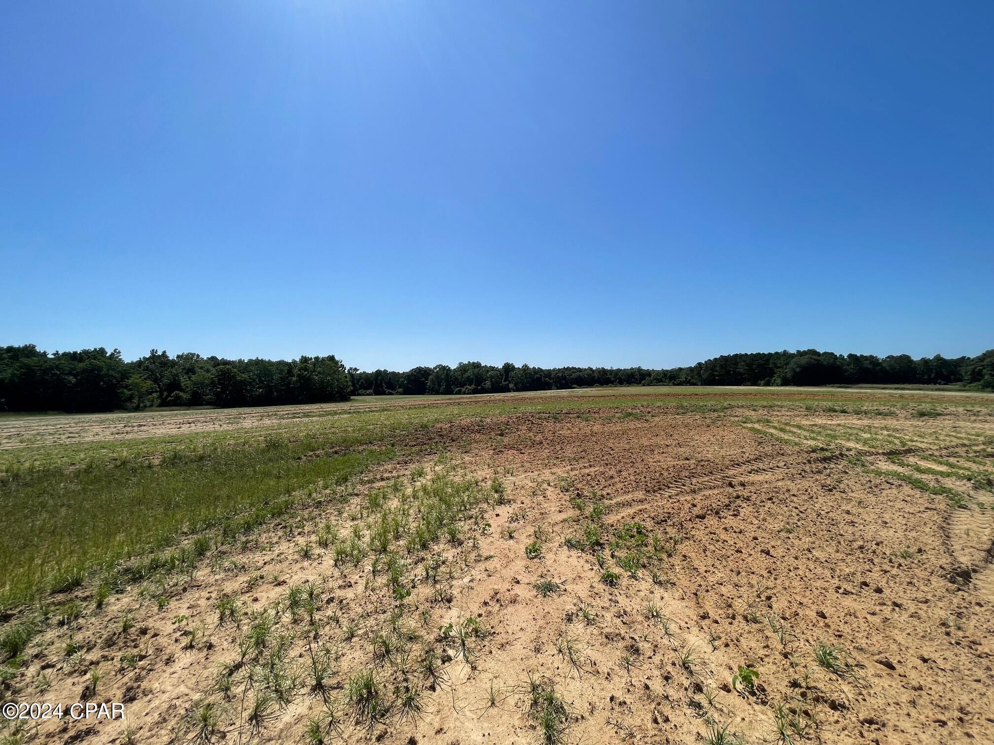 0 Gavin Road Bonifay, FL 32425 - Photo 15 of 28 Gallery Image 15