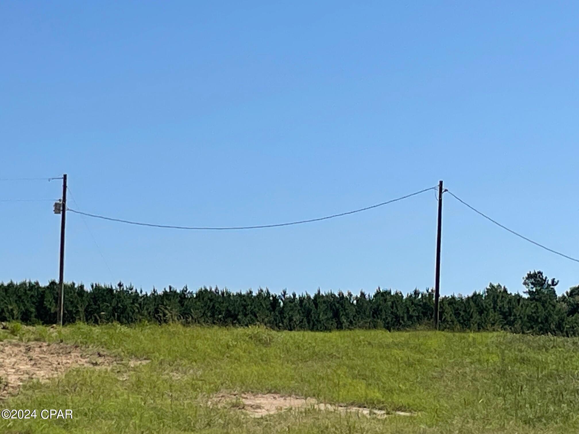 0 Gavin Road Bonifay, FL 32425 - Photo 21 of 28 Gallery Image 21