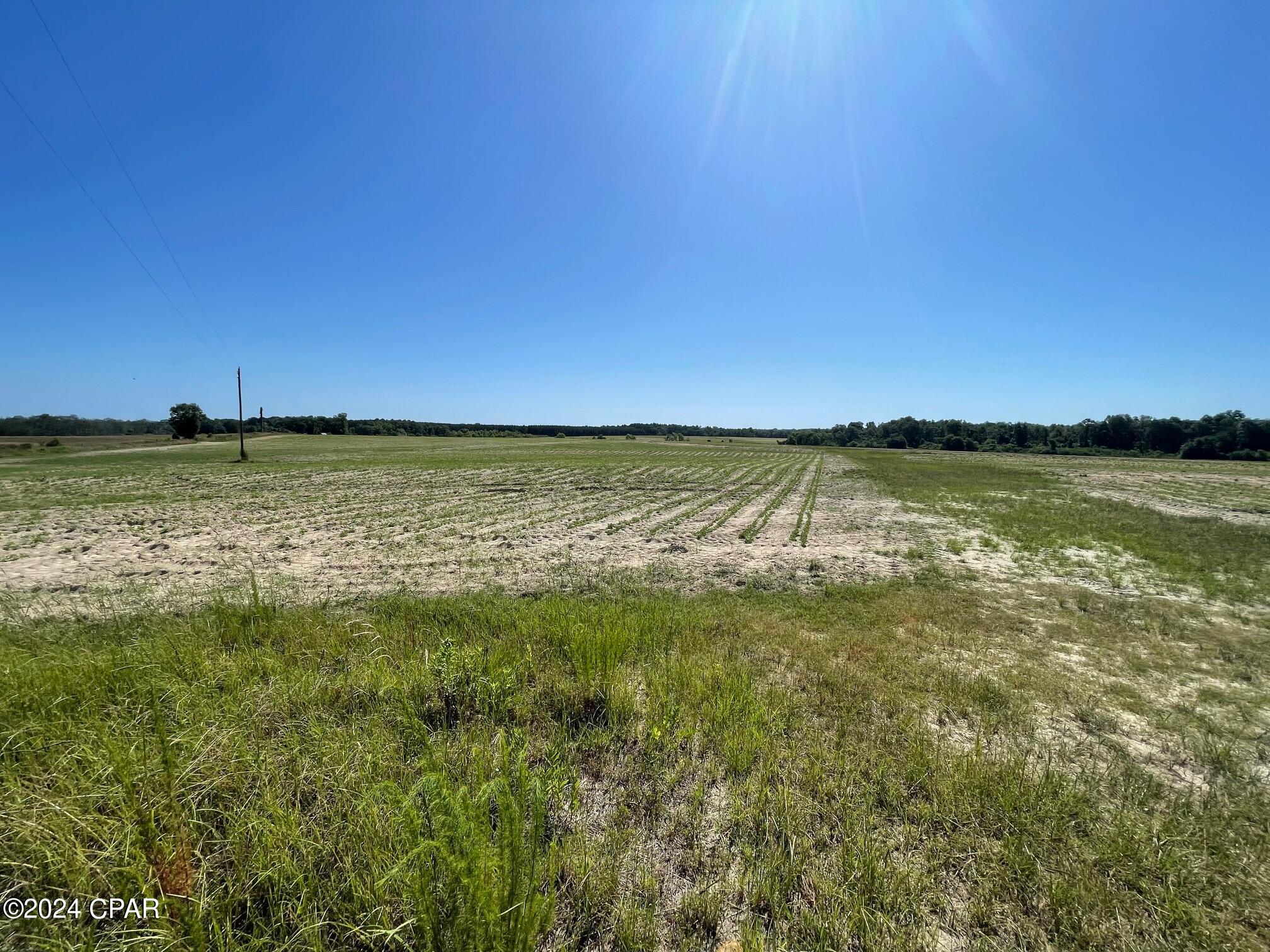 0 Gavin Road Bonifay, FL 32425 - Photo 7 of 28 Gallery Image 7