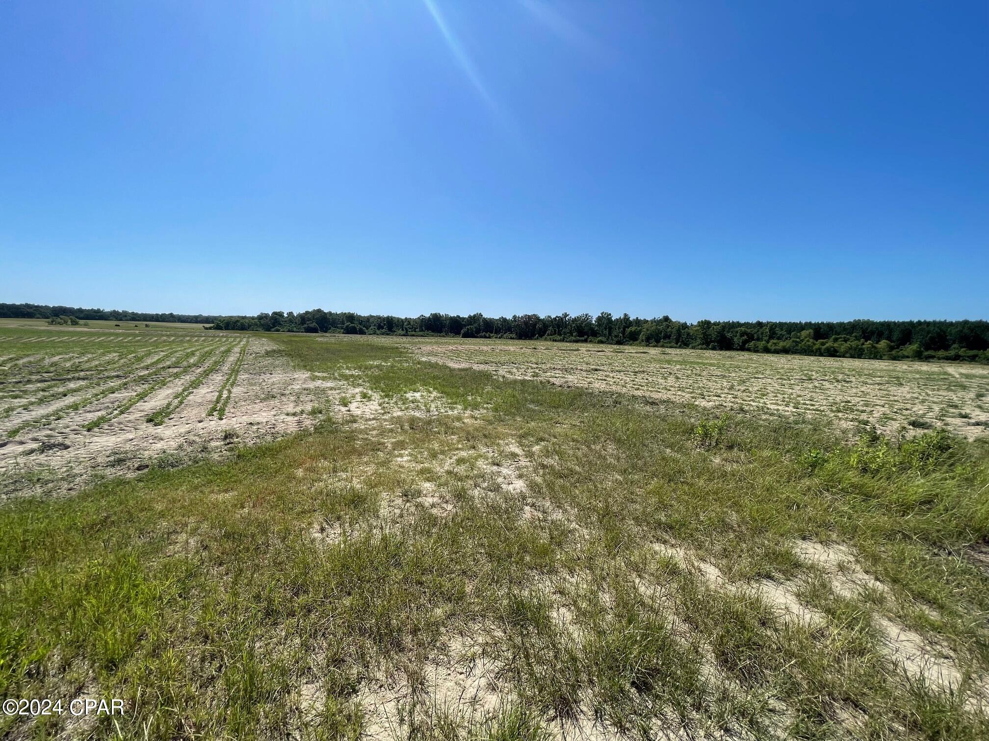 0 Gavin Road Bonifay, FL 32425 - Photo 9 of 28 Gallery Image 9