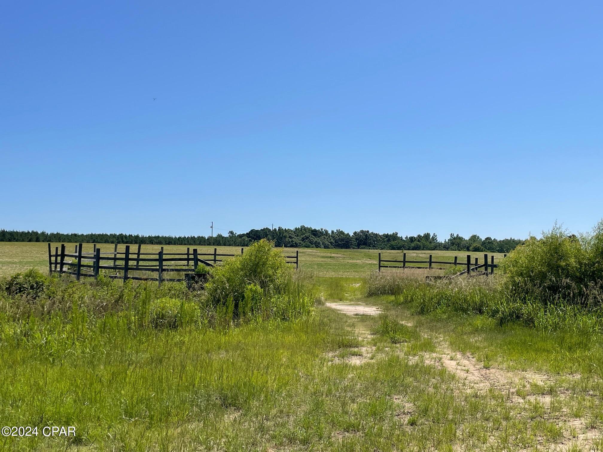 0 Gavin Road Bonifay, FL 32425 - Photo 10 of 28 Gallery Image 10