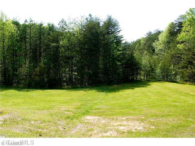 5754 Davis Road Walkertown, NC 27051 - Photo 14 of 16 Land/Lot. Privacy and seclusion on this acre tucked away in the trees! You even have your own private driveway that winds through the forest to reach your private retreat!