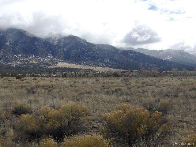 387 Staghorn Road Crestone, CO 81131 - Photo 7 of 8 a view of a dry yard with mountains in the background