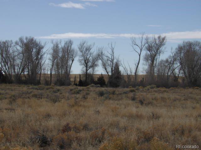 387 Staghorn Road Crestone, CO 81131 - Photo 8 of 8