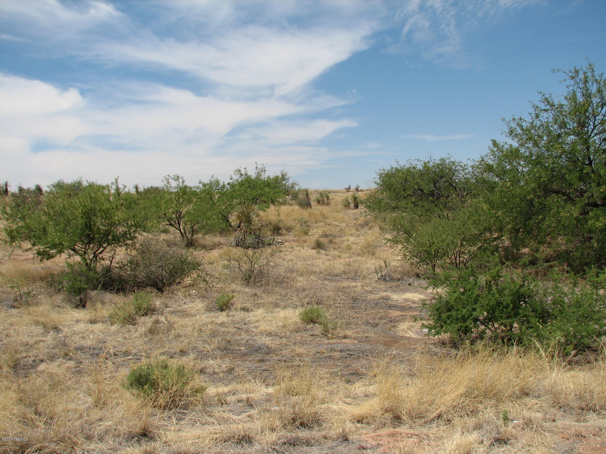 Horse Ride Place Benson, AZ 85602 - Photo 1 of 1