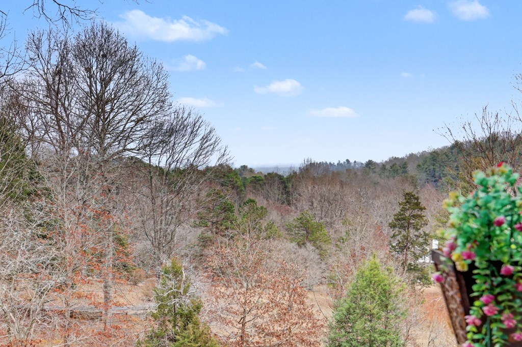 340 Country Mountain Ridge Drive Murphy, NC 28906 - Photo 43 of 73 a view of a field with a tree in the background