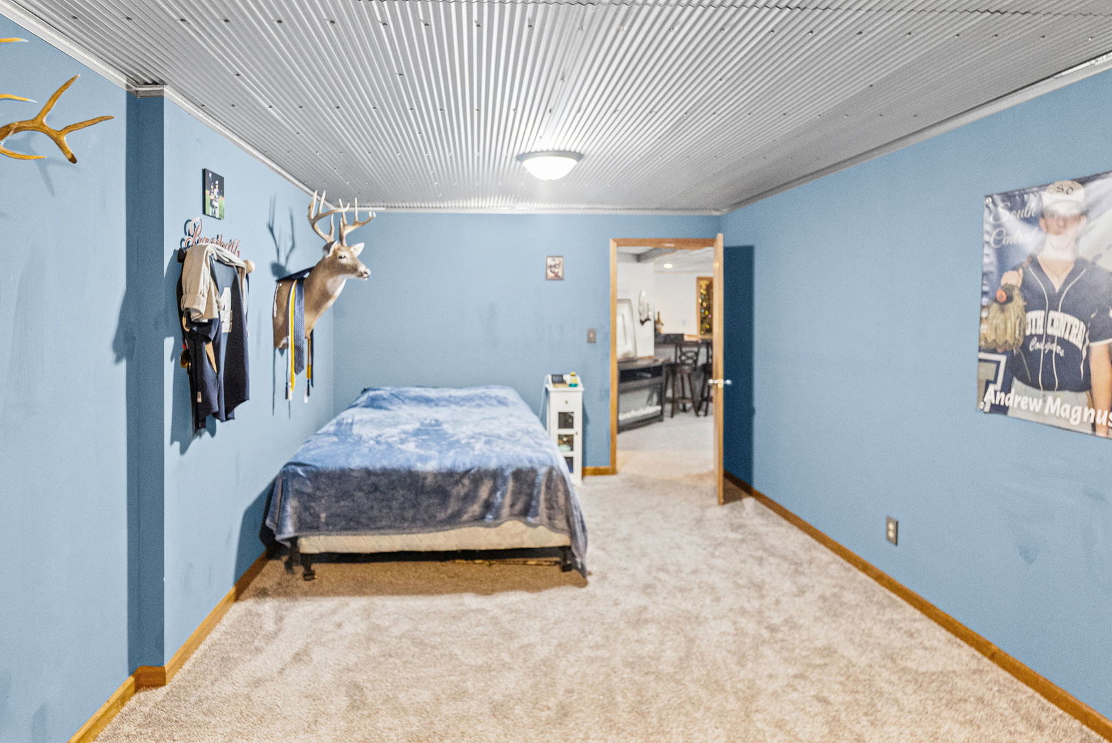 401 South Gehle Street St. Peter, IL 62880 - Photo 44 of 53