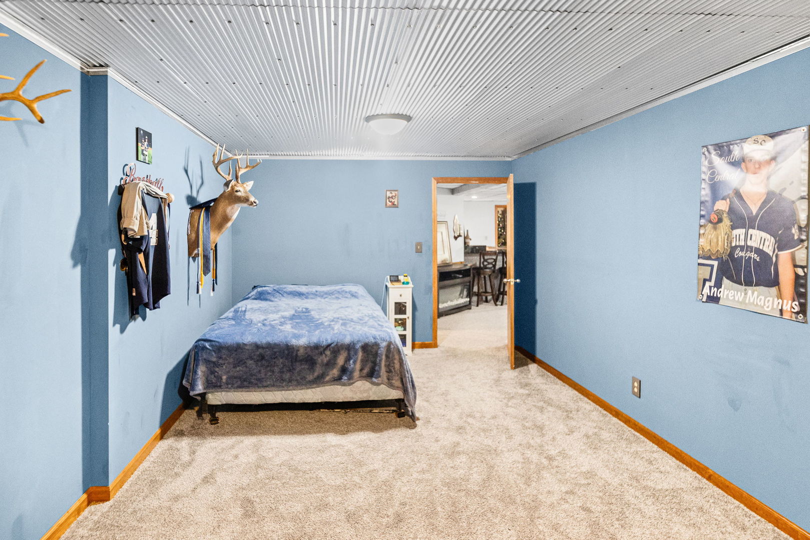 401 South Gehle Street St. Peter, IL 62880 - Photo 45 of 53