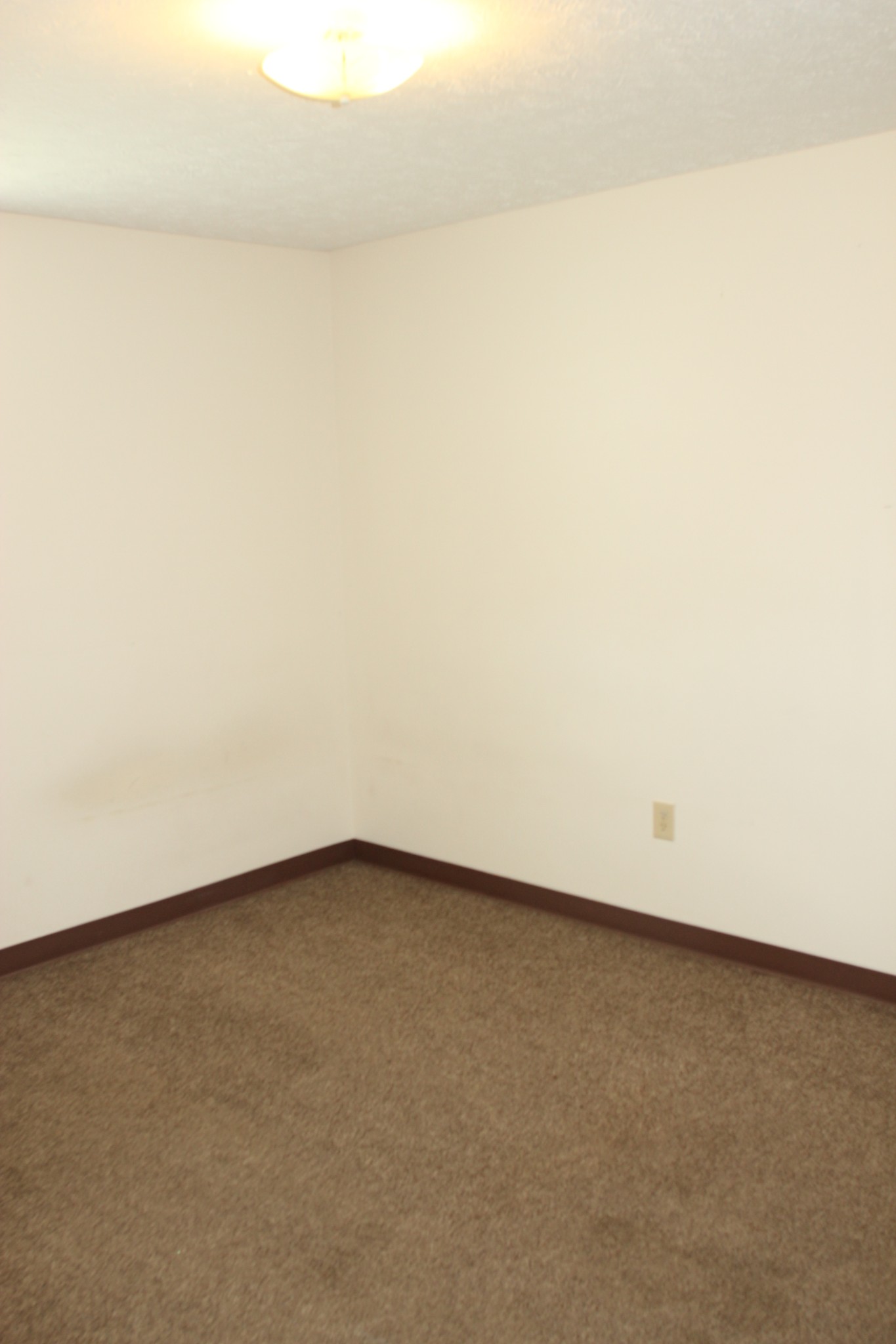 517 Bybee Branch Road, Unit 37 McMinnville, TN 37110 - Photo 9 of 11