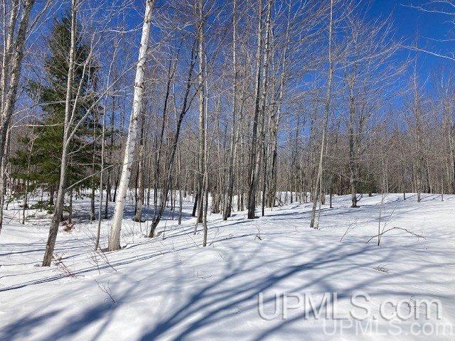 Tbd Worham Road Chassell, MI 49916 - Photo 26 of 45 Gallery Image 26