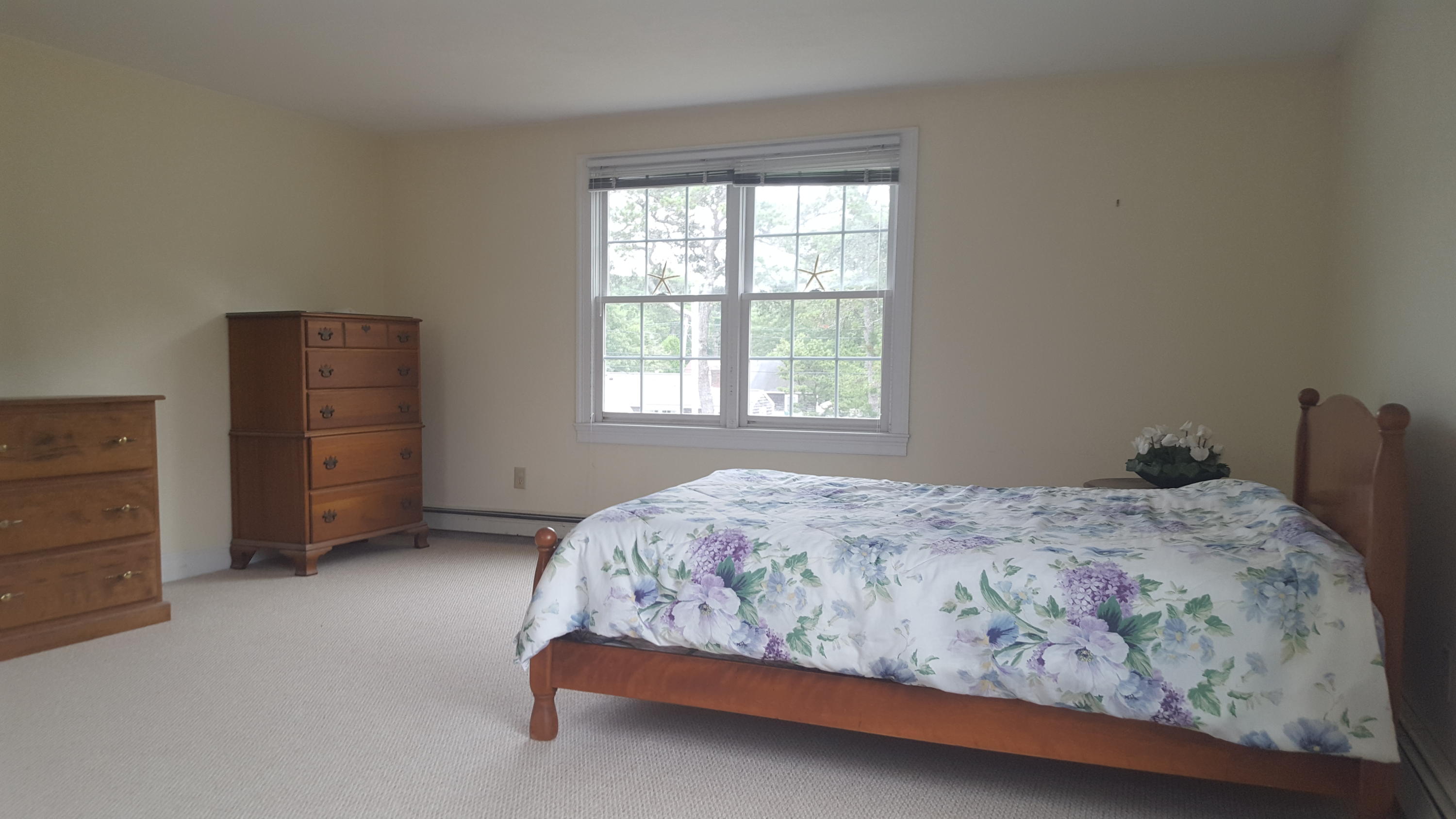 14 Bain Road Dennis Port, MA 02639 - Photo 12 of 22 a bedroom with a bed and a window