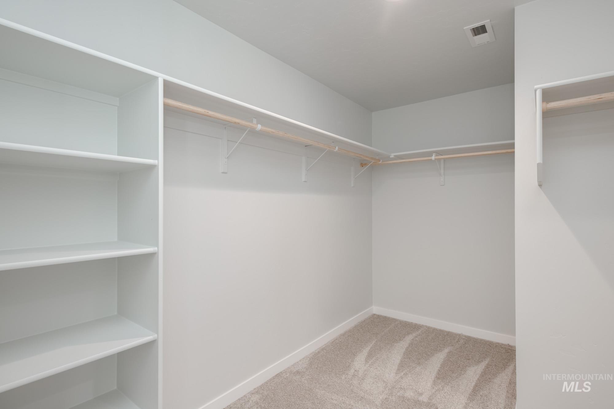 910 North Mirror Creek Way Meridian, ID 83642 - Photo 19 of 27 Walk in closet with light carpet