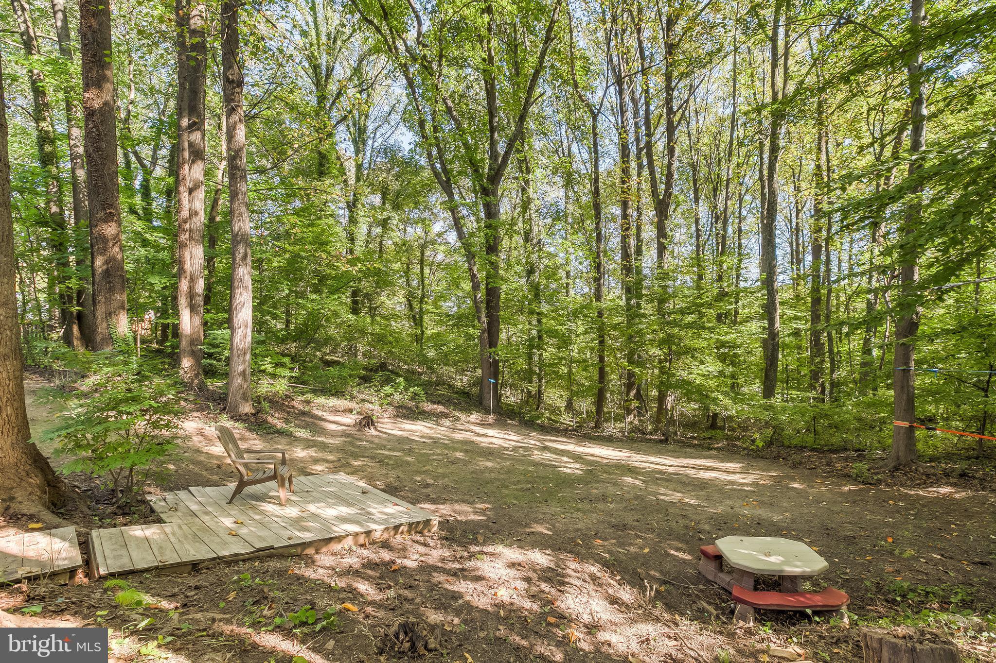 285 Locust Ridge Lane Arnold, MD 21012 - Photo 23 of 24 a backyard of a house with lots of green space and fountain