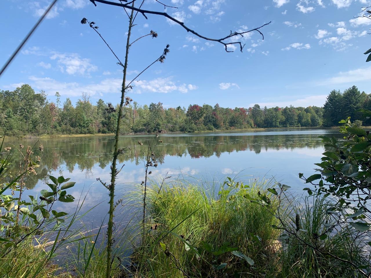 Off Of Bennet Road Amberg, WI 54102 - Photo 12 of 15 Gallery Image 12
