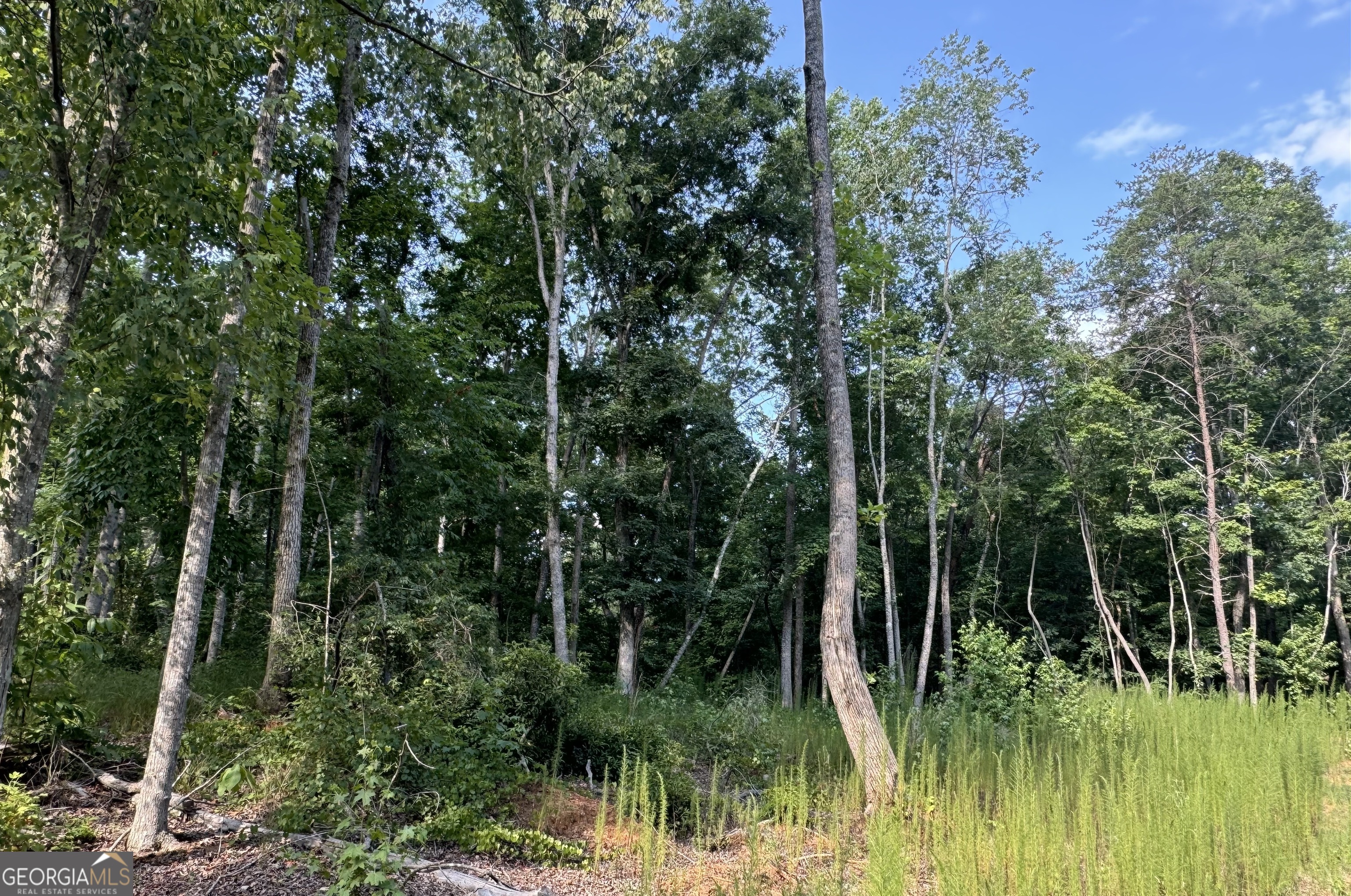 Lot 6 Parker Point Cornelia, GA 30531 - Photo 2 of 5