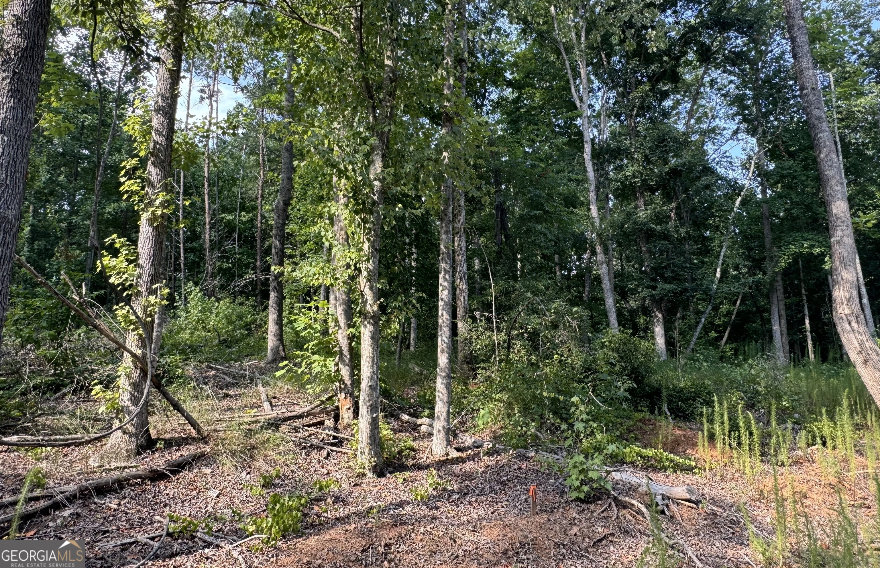 Lot 6 Parker Point Cornelia, GA 30531 - Photo 4 of 5