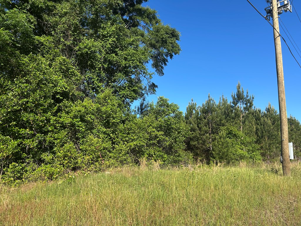 3574 East Cottonwood Road Dothan, AL 36301 - Photo 20 of 30