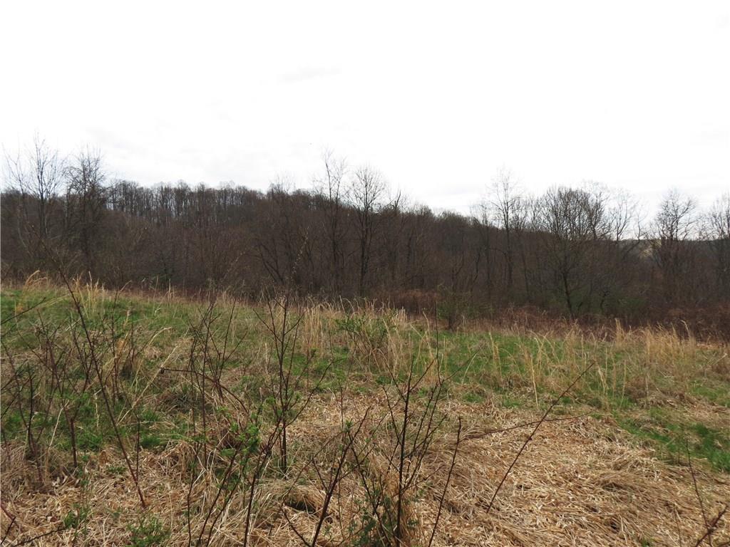 96.11-ac Lough Road Wind Ridge, PA 15380 - Photo 5 of 15