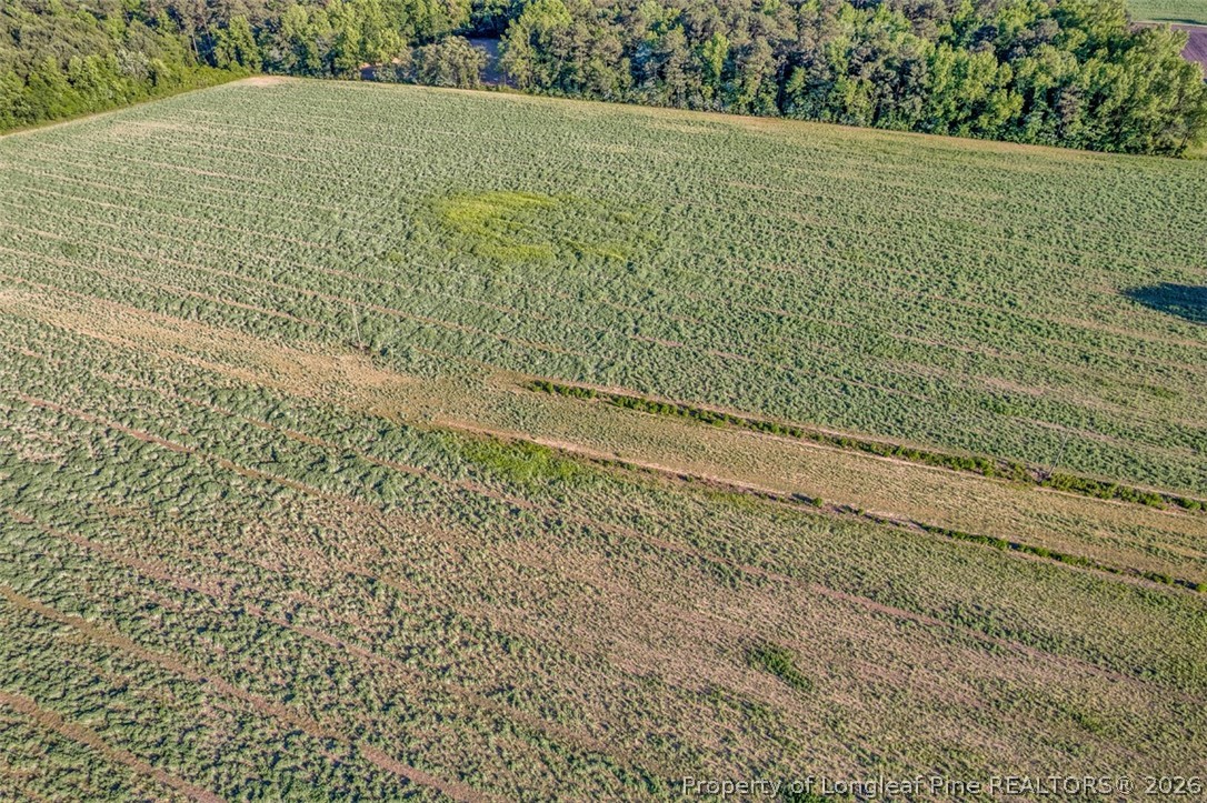 0 Pope Wray (lot 1) Road Turkey, NC 28393 - Photo 13 of 23