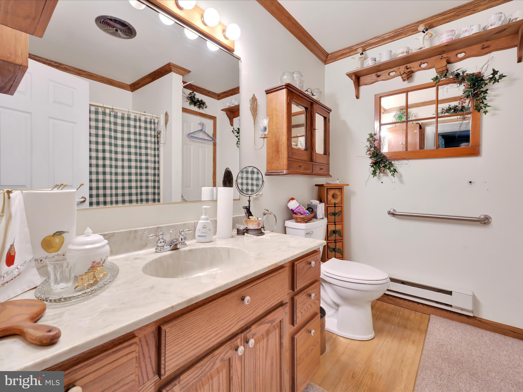 321 Wolf Creek Road Bernville, PA 19506 - Photo 16 of 49 a bathroom with a sink toilet and mirror