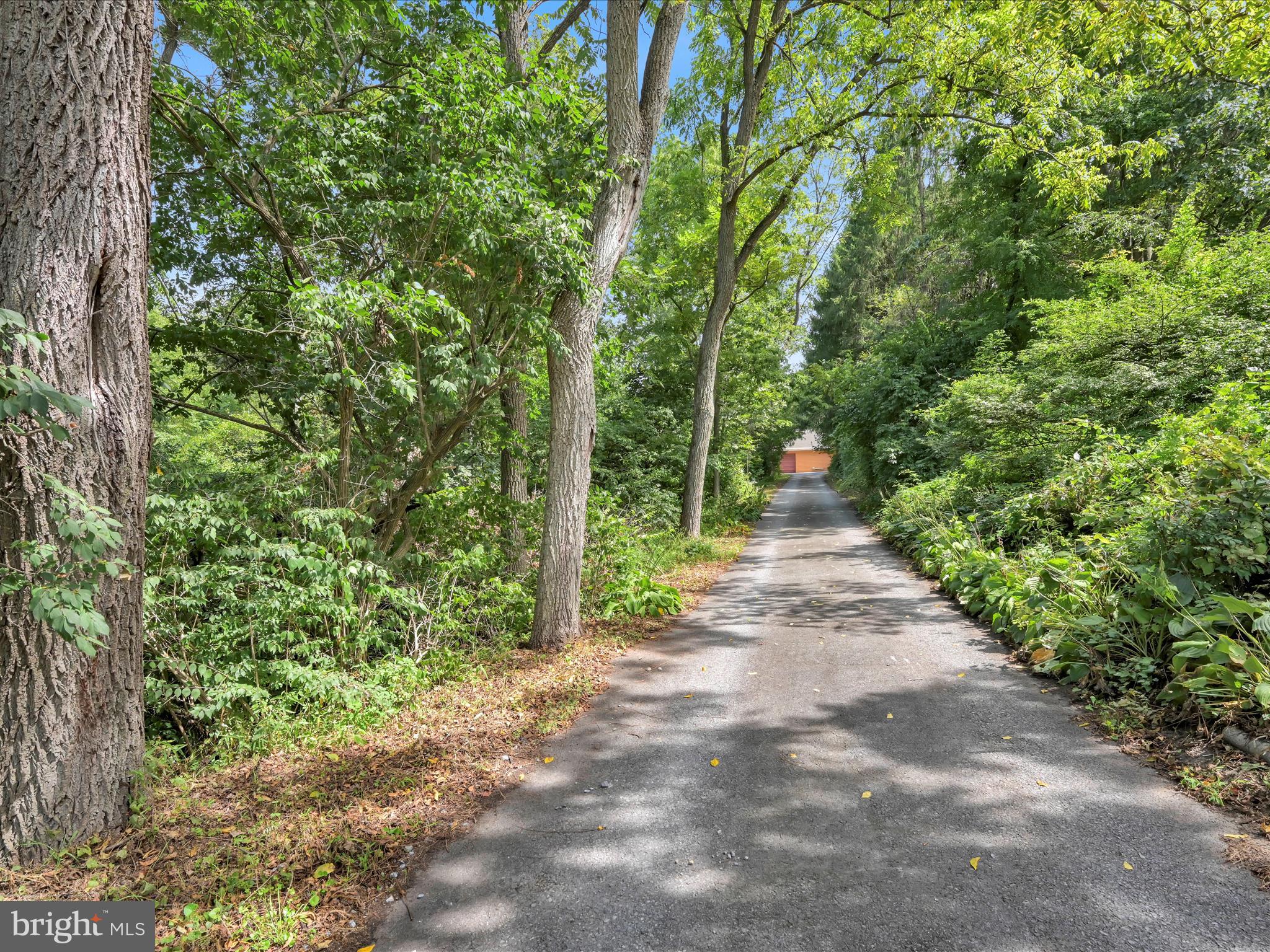 321 Wolf Creek Road Bernville, PA 19506 - Photo 4 of 49 a view of a pathway both side of yard