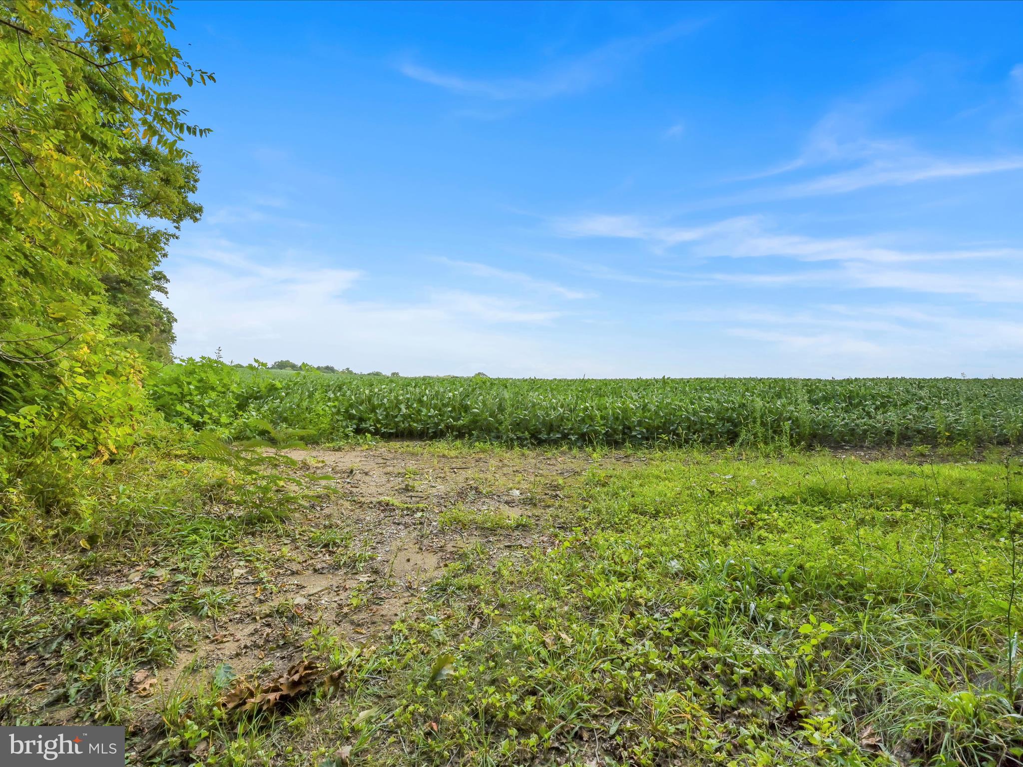 321 Wolf Creek Road Bernville, PA 19506 - Photo 43 of 49 a view of a green field