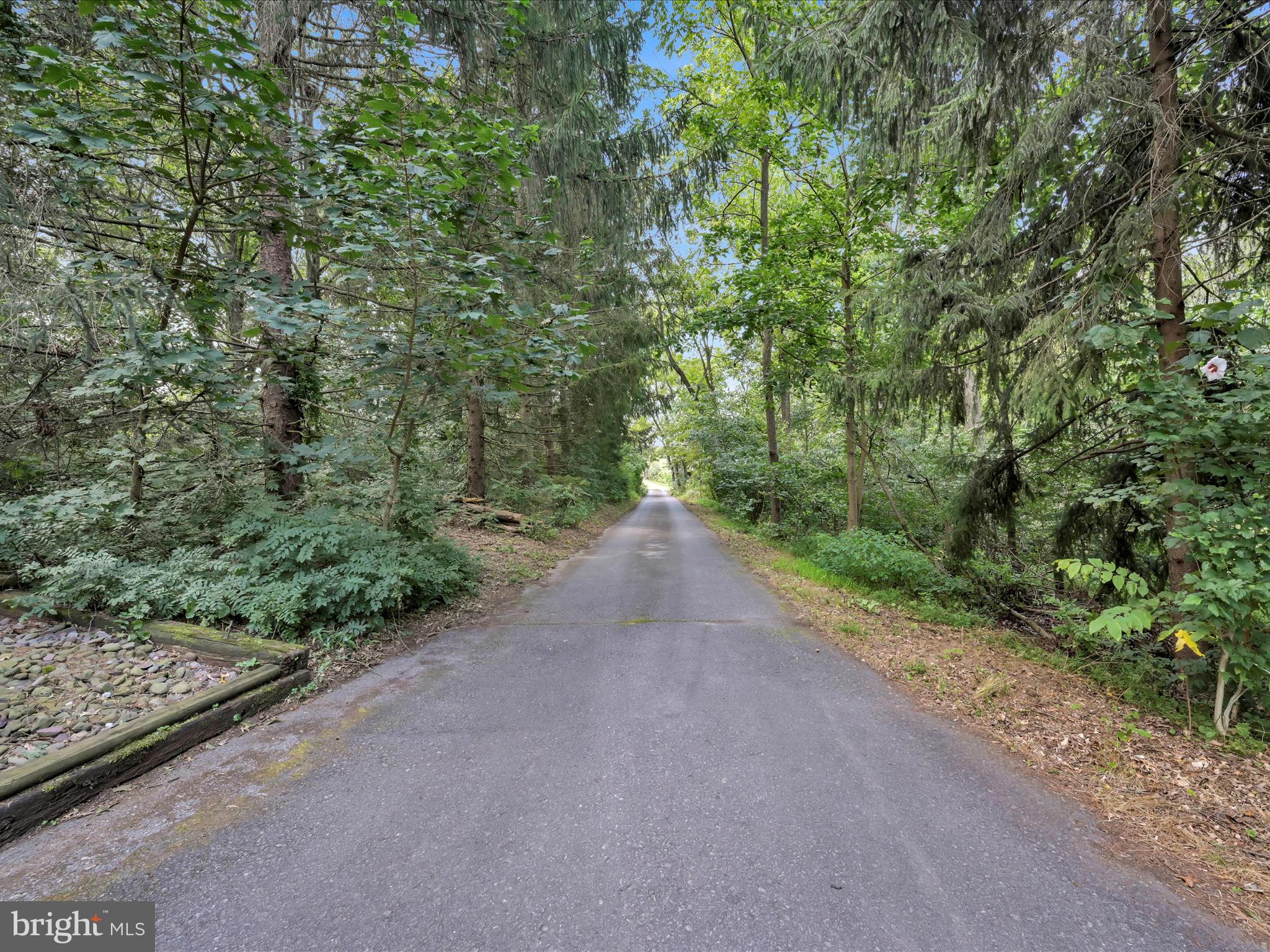 321 Wolf Creek Road Bernville, PA 19506 - Photo 45 of 49 a view of a road with a yard