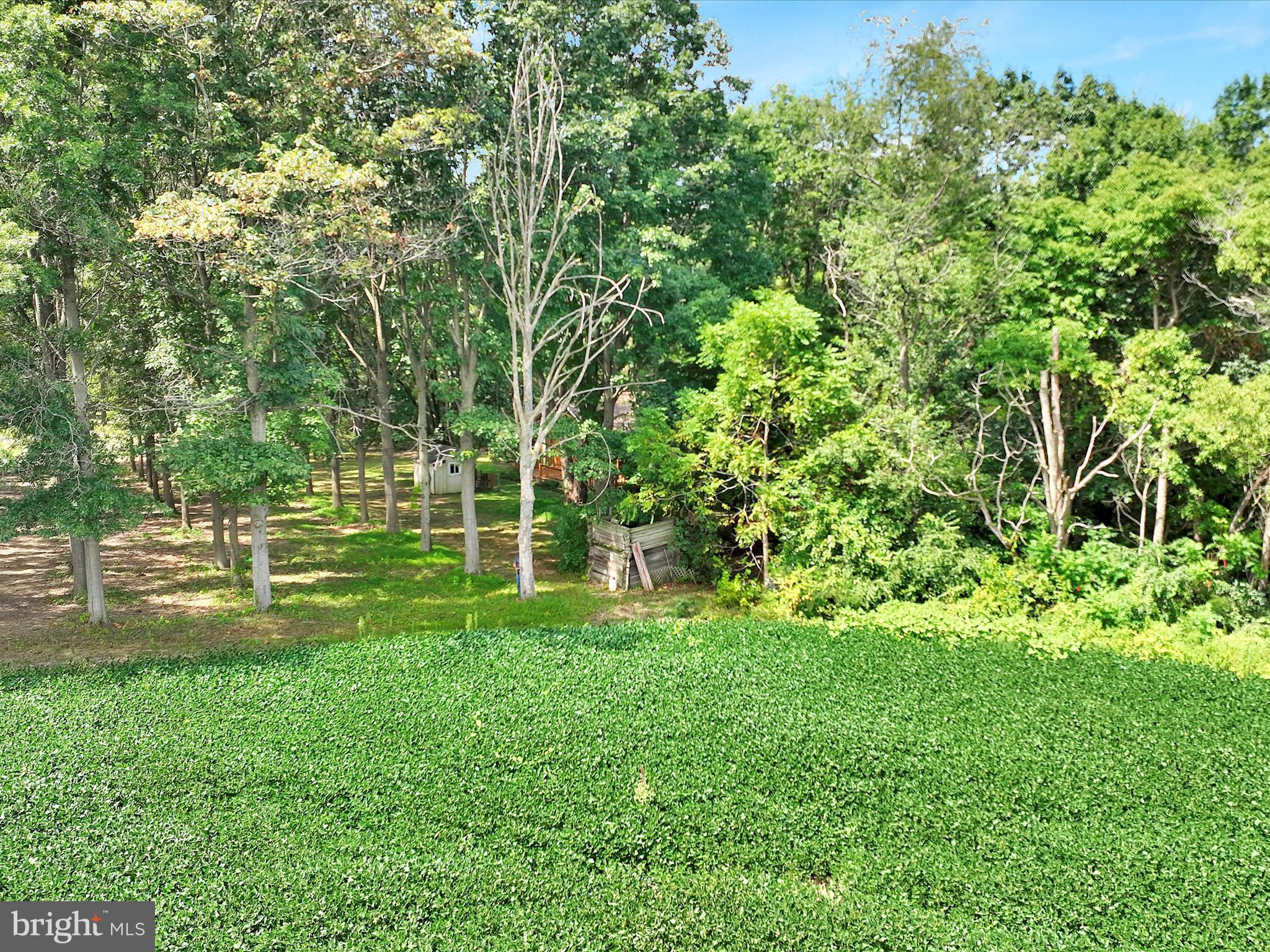 321 Wolf Creek Road Bernville, PA 19506 - Photo 49 of 49 a view of a park with a tree