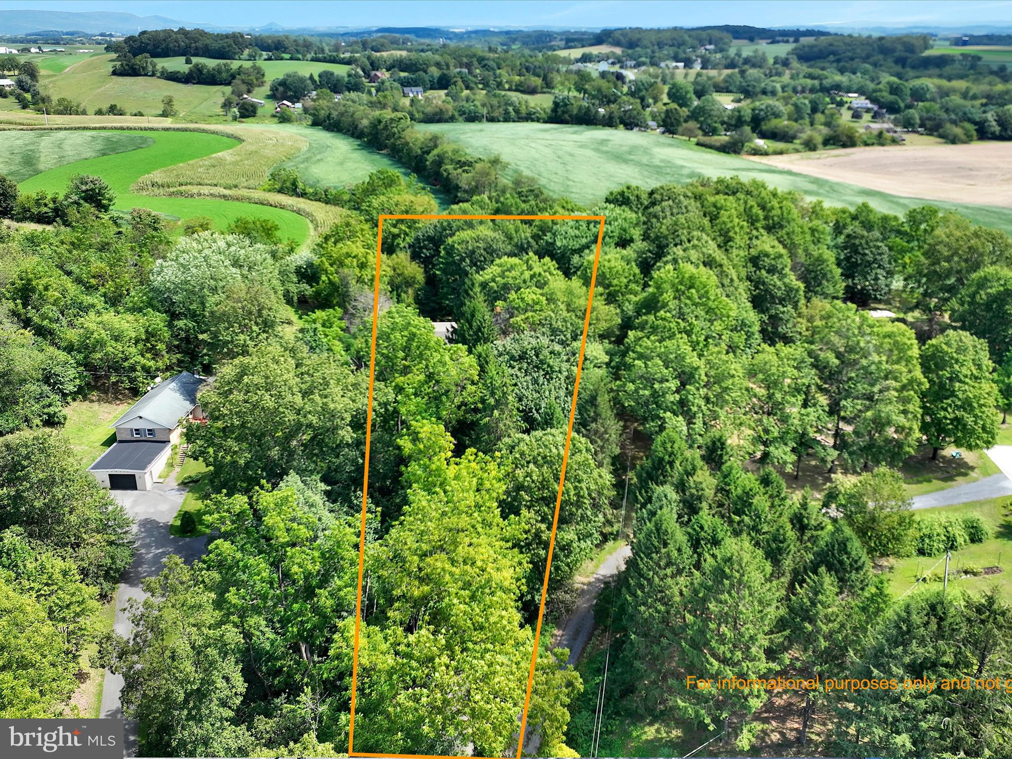 321 Wolf Creek Road Bernville, PA 19506 - Photo 5 of 49 an aerial view of huge green field with lots of bushes