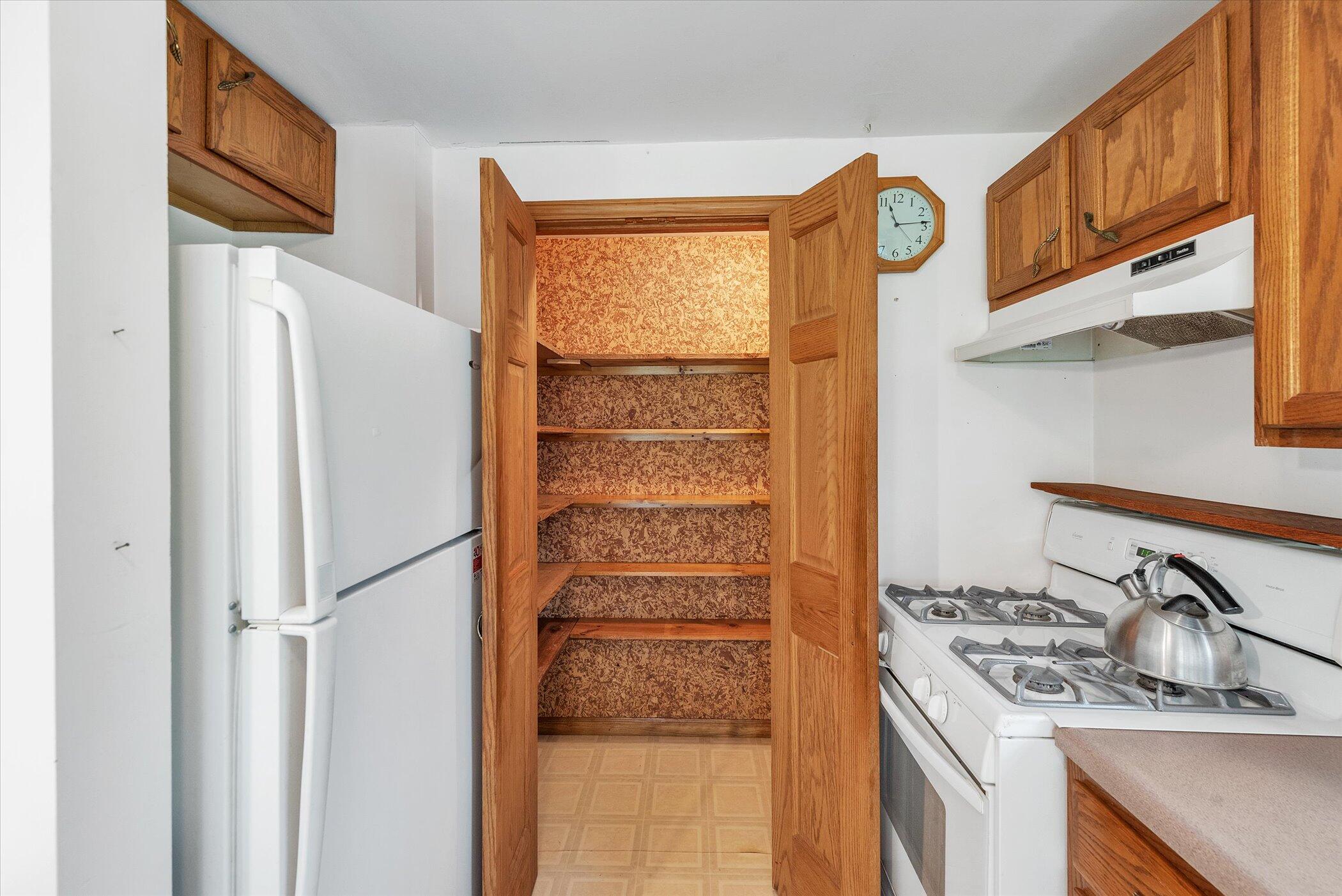 49444 Rush Lake Road Hartford, MI 49057 - Photo 11 of 54 Large Lighted Pantry