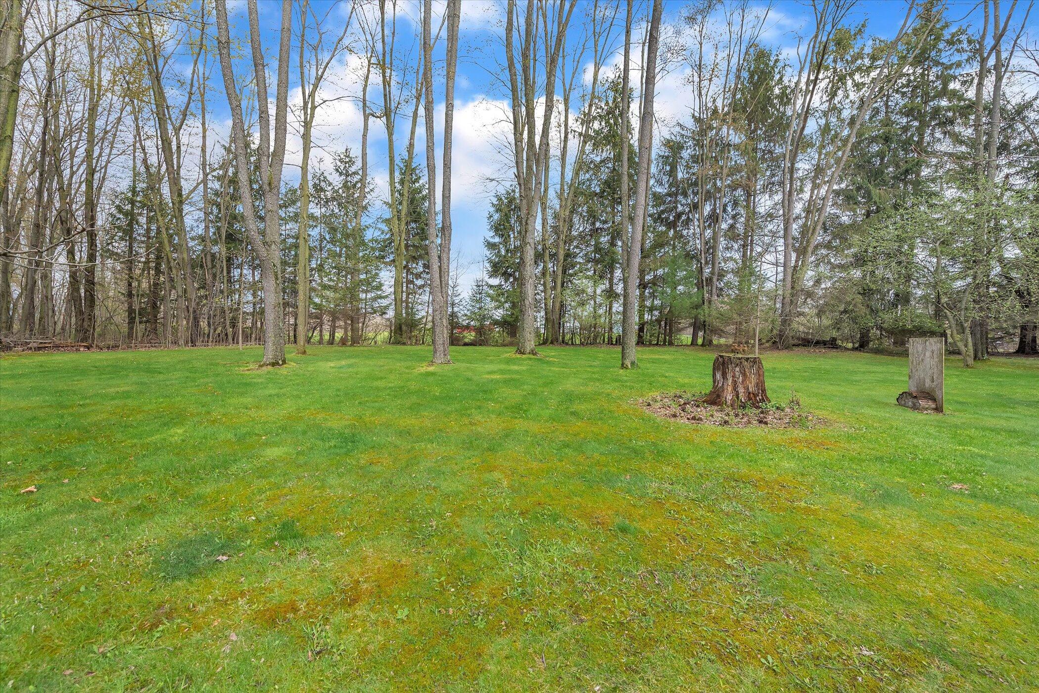 49444 Rush Lake Road Hartford, MI 49057 - Photo 29 of 54 Back Yard