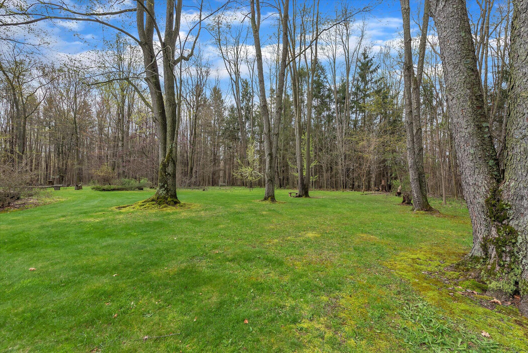 49444 Rush Lake Road Hartford, MI 49057 - Photo 31 of 54 Back Yard