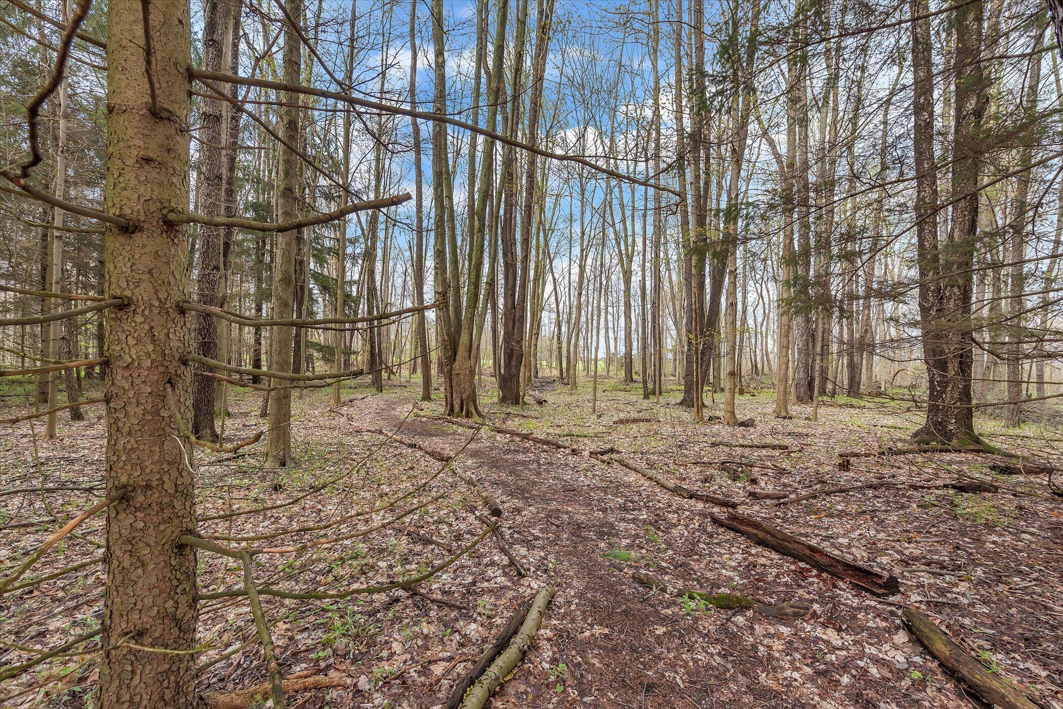 49444 Rush Lake Road Hartford, MI 49057 - Photo 32 of 54 Wide Walking Paths