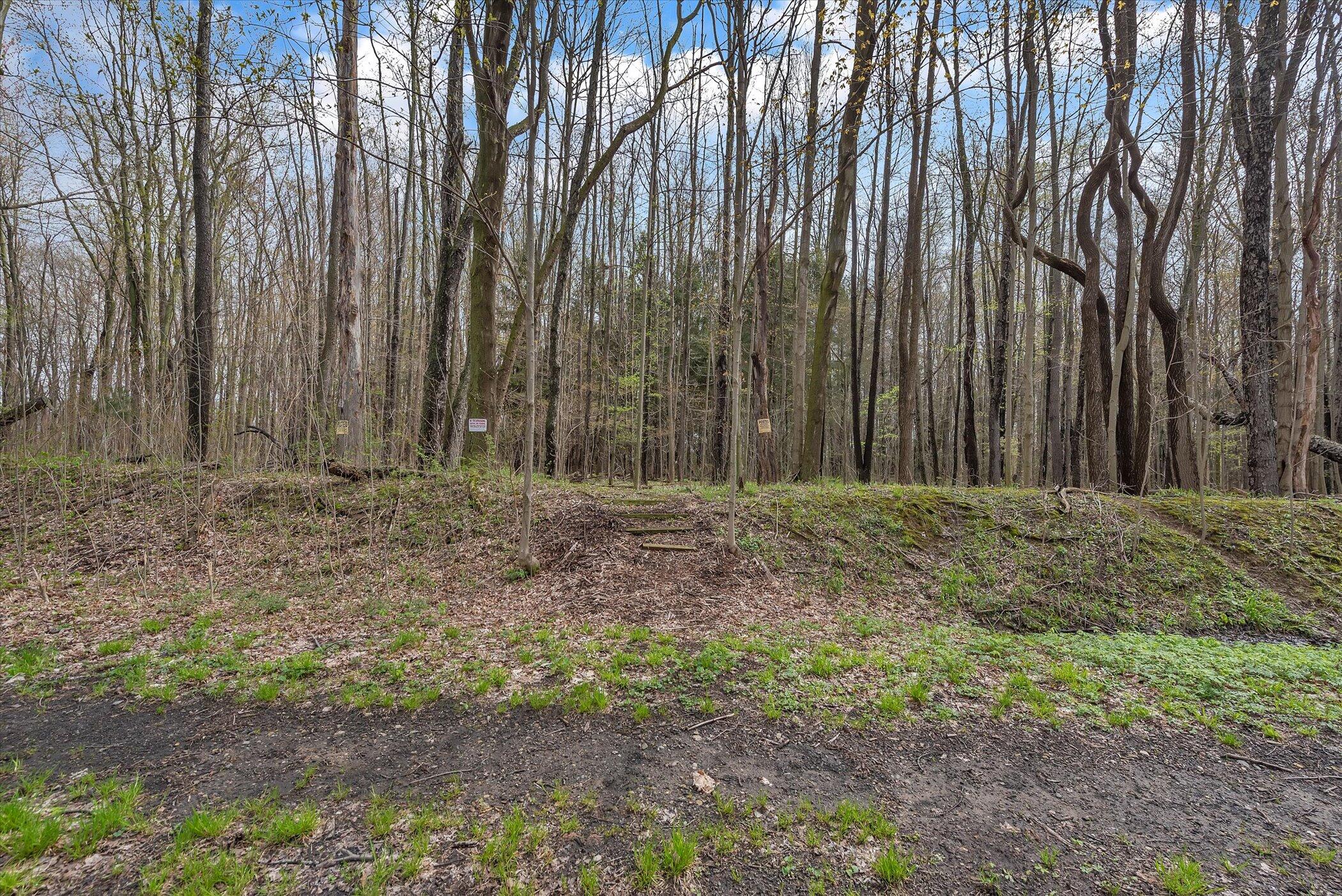 49444 Rush Lake Road Hartford, MI 49057 - Photo 34 of 54 Steps from Property to VB Trail