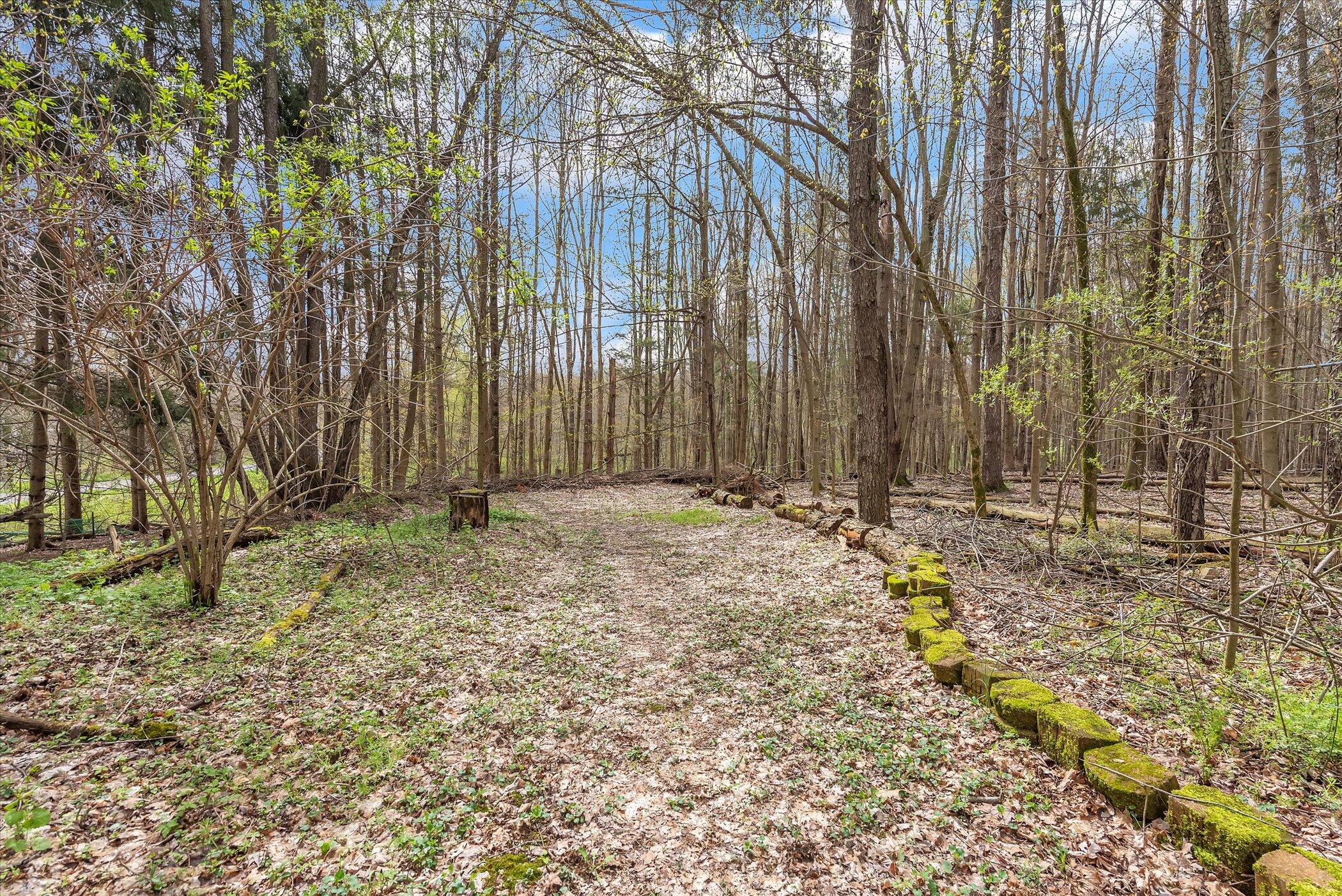 49444 Rush Lake Road Hartford, MI 49057 - Photo 40 of 54 Walking Paths