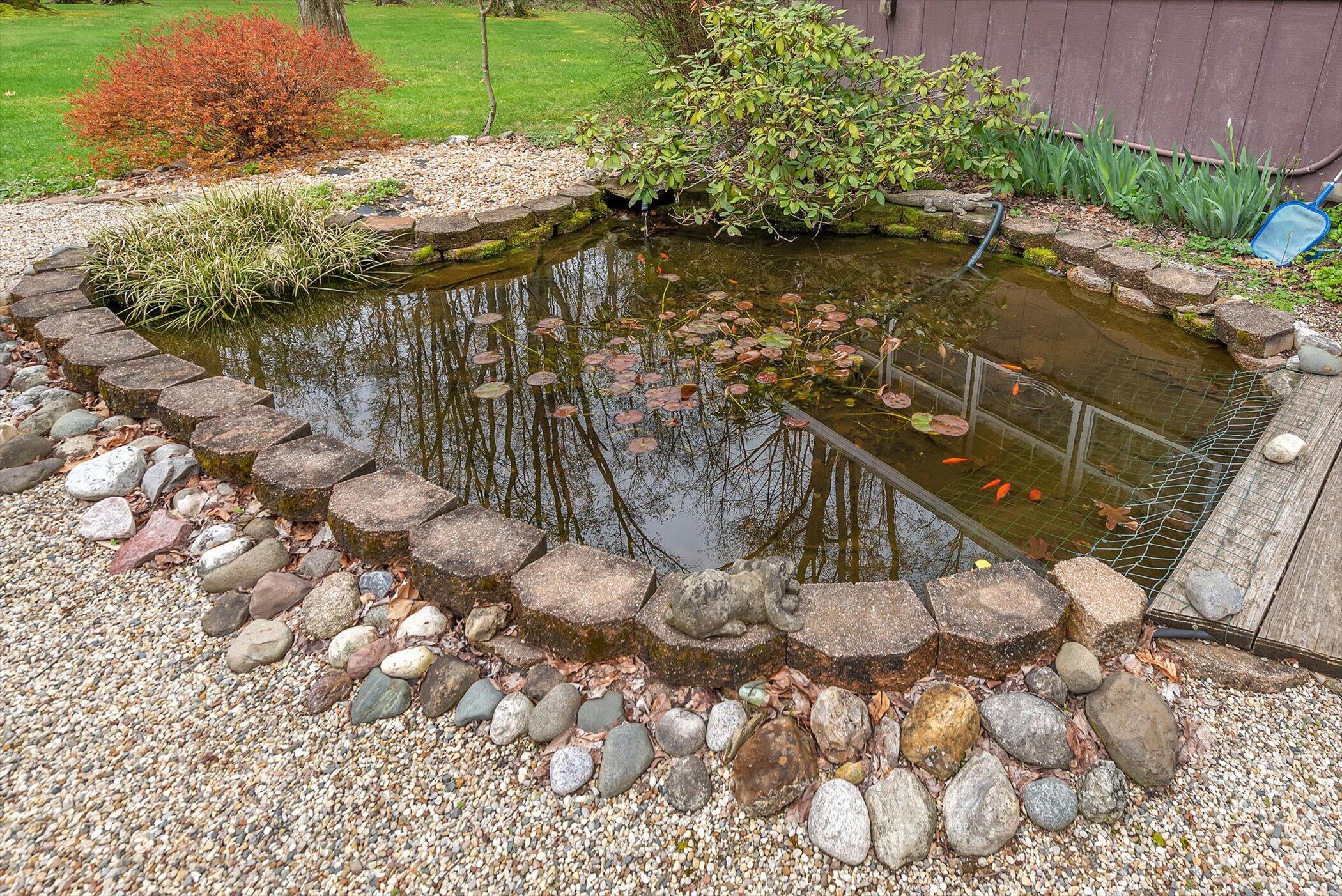 49444 Rush Lake Road Hartford, MI 49057 - Photo 41 of 54 Koi Pond