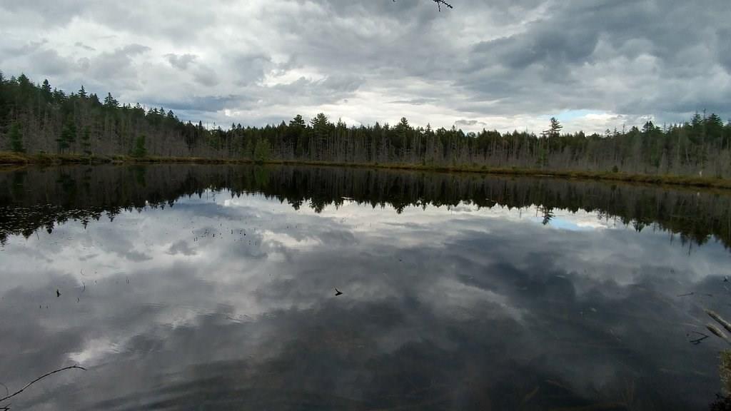 85 South Shore Road Island Falls, ME 04747 - Photo 21 of 22 Photo