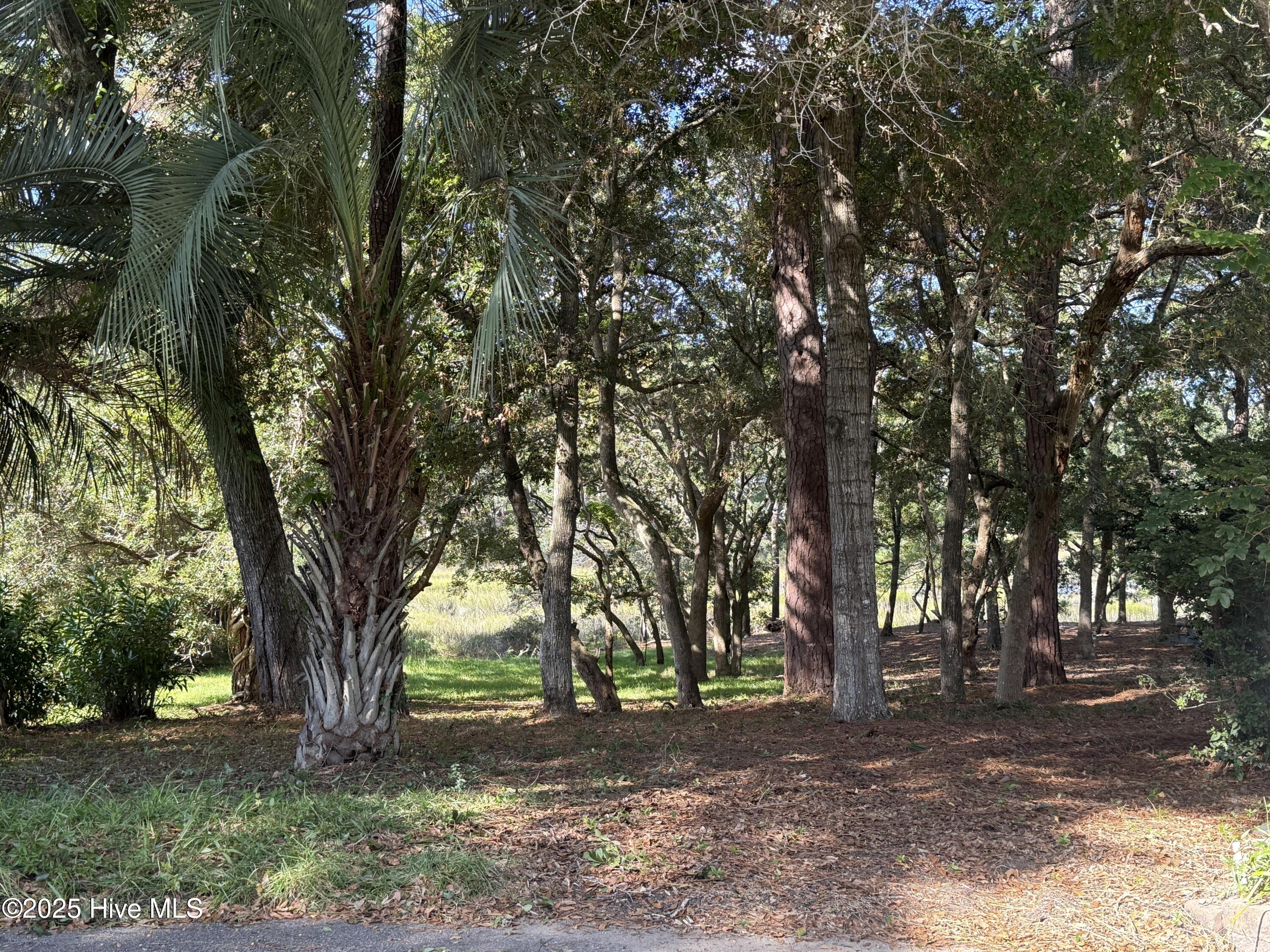 1748 Heron Point Road Southwest Ocean Isle Beach, NC 28469 - Photo 4 of 20 From the Street...