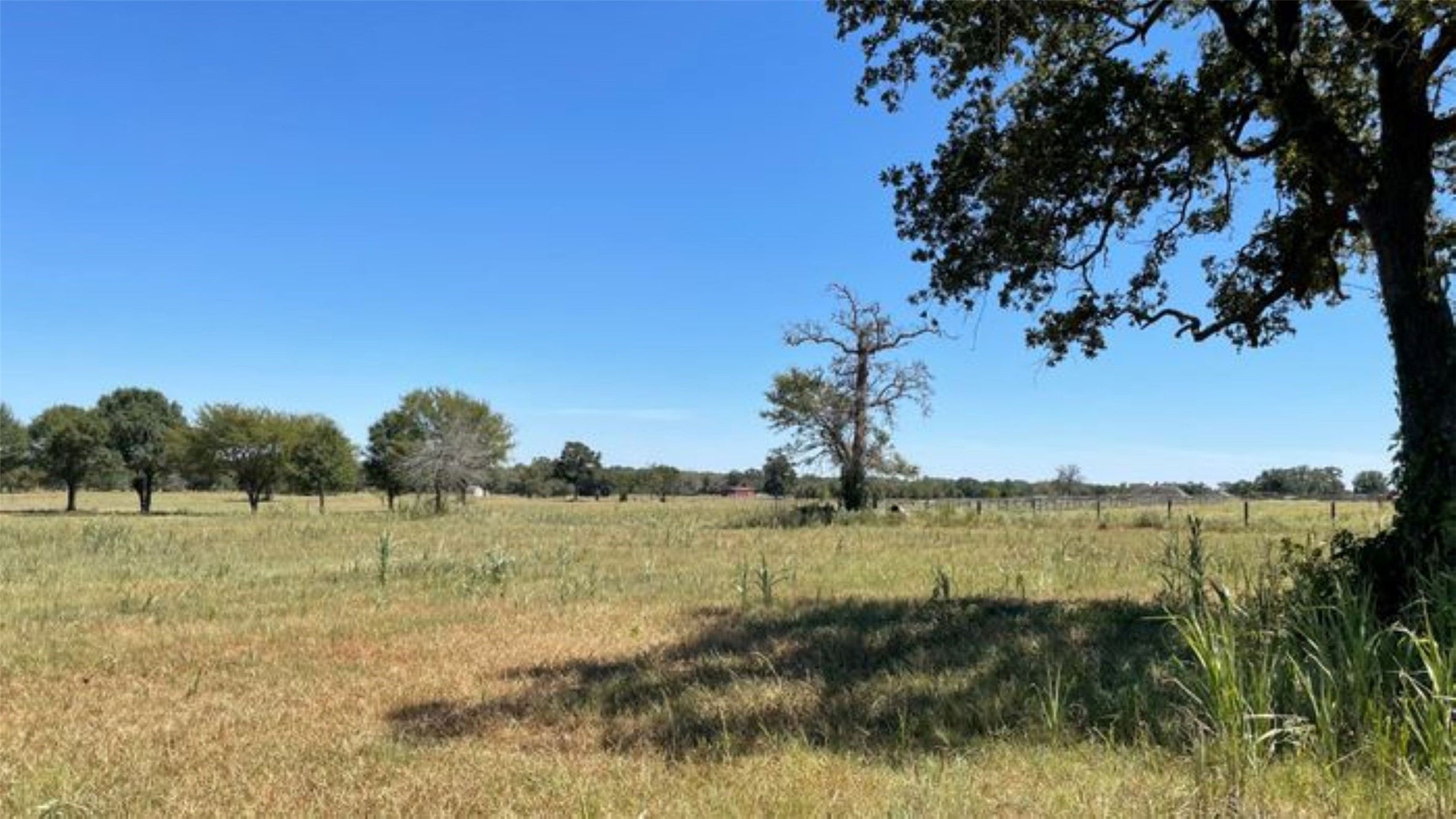 0 Bus Highway Prairie View, TX 77445 - Photo 2 of 5