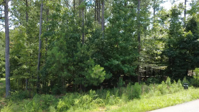 a view of a lush green forest with lots of trees