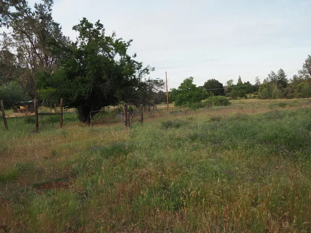 a view of river covered with trees