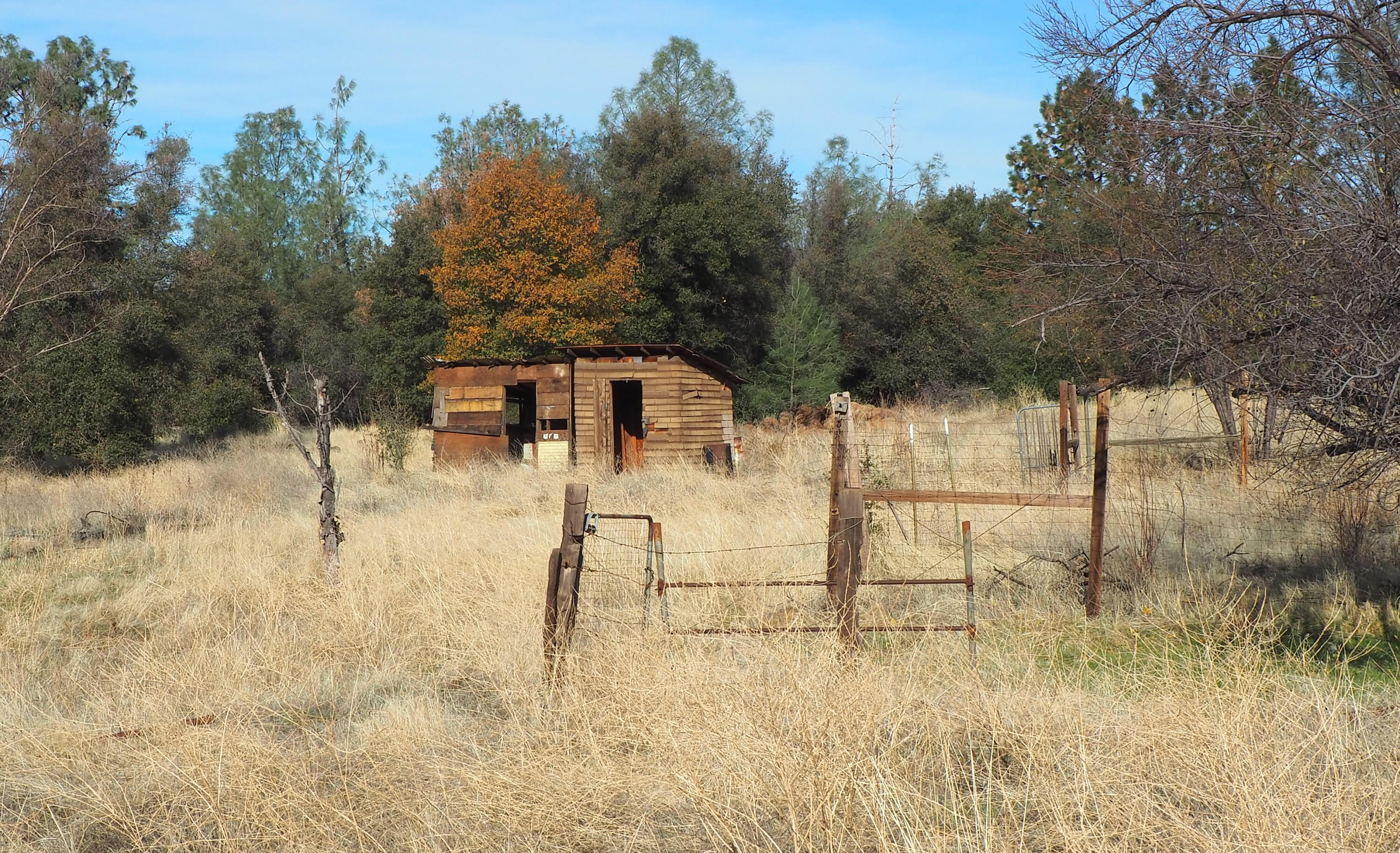 21705 South Powerhouse Road Manton, CA 96059 - Photo 14 of 15