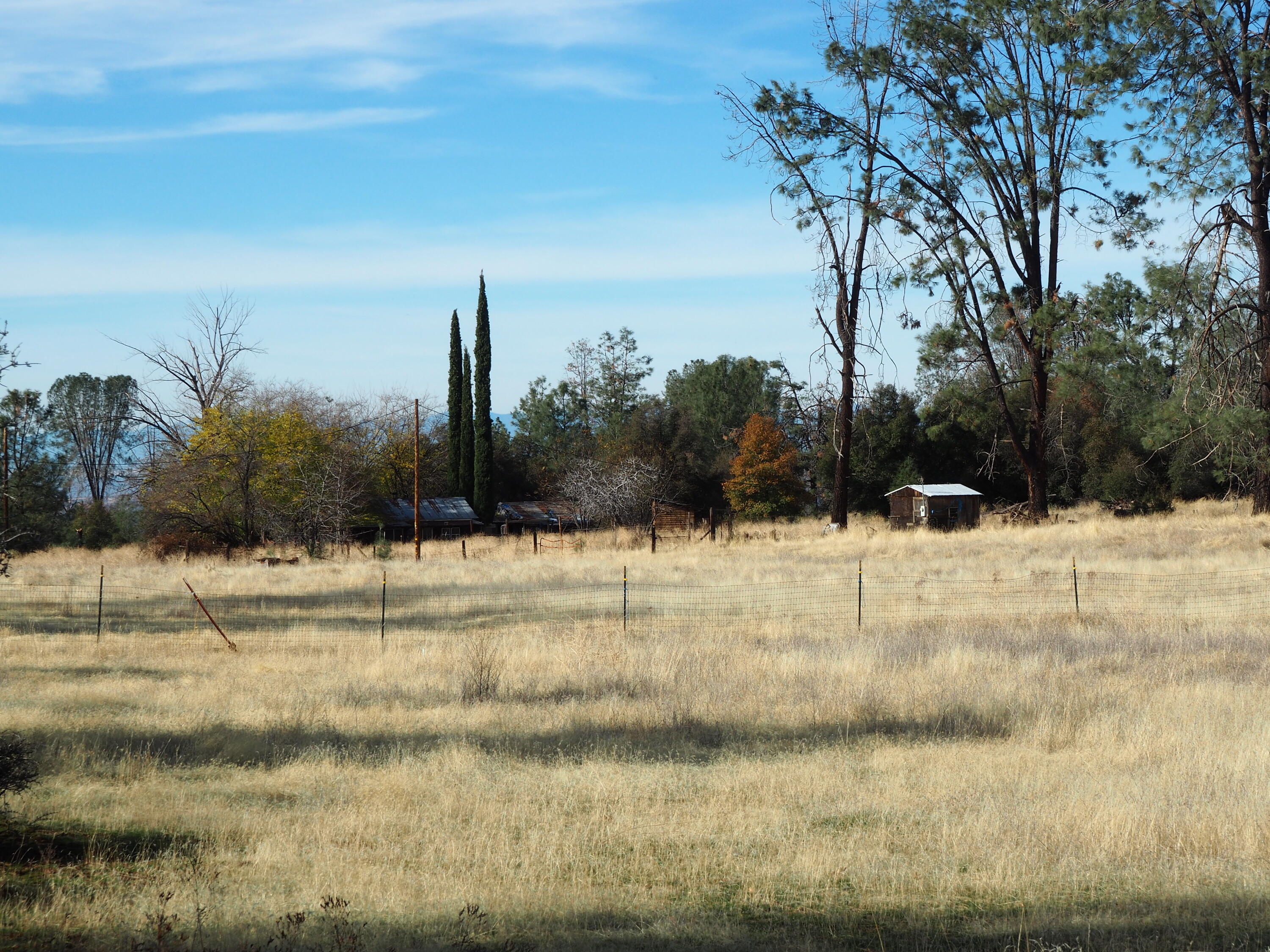 21705 South Powerhouse Road Manton, CA 96059 - Photo 15 of 15 a view of a yard with a snow