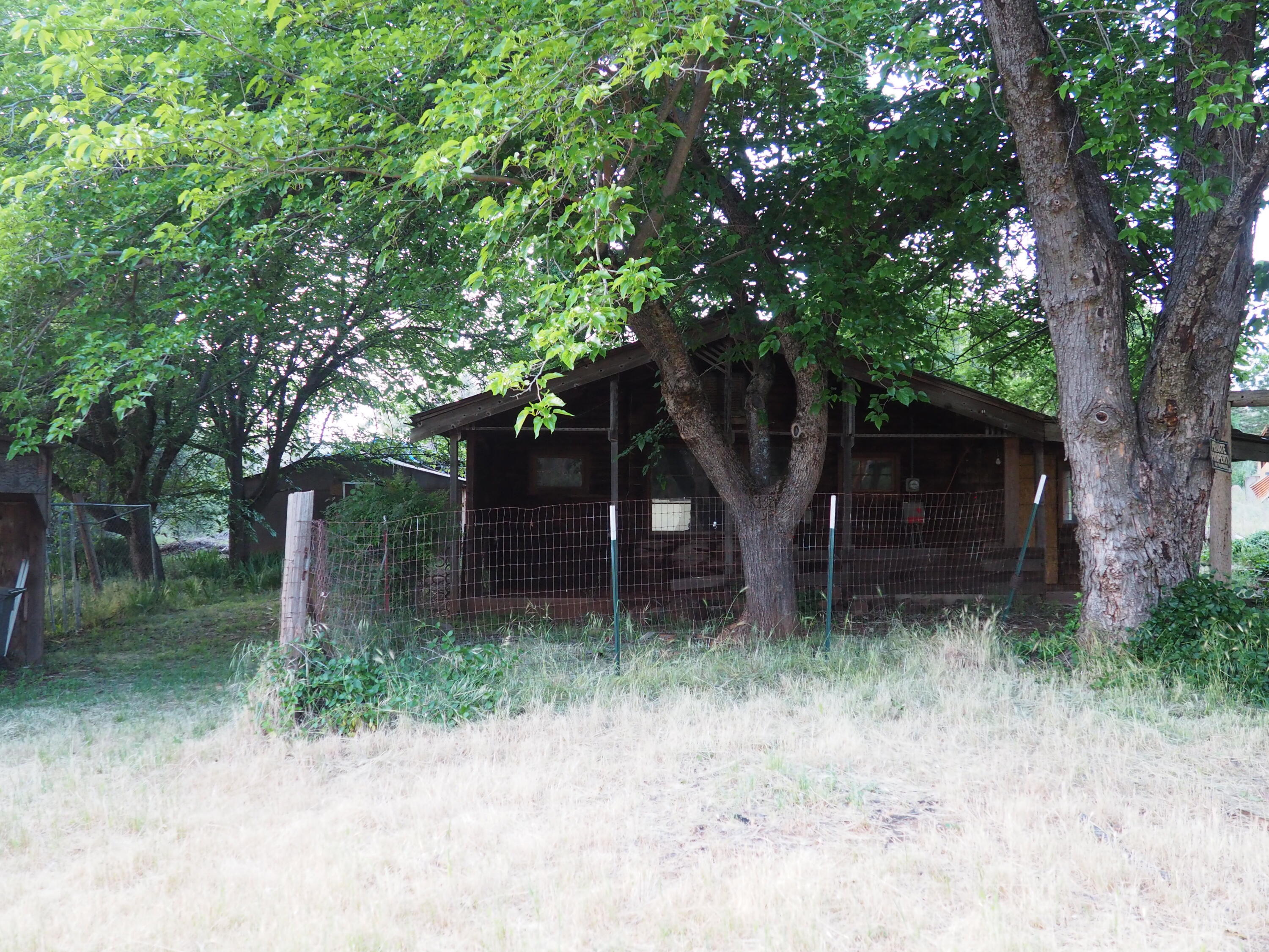 21705 South Powerhouse Road Manton, CA 96059 - Photo 3 of 15 a couple of trees in front of a small yard