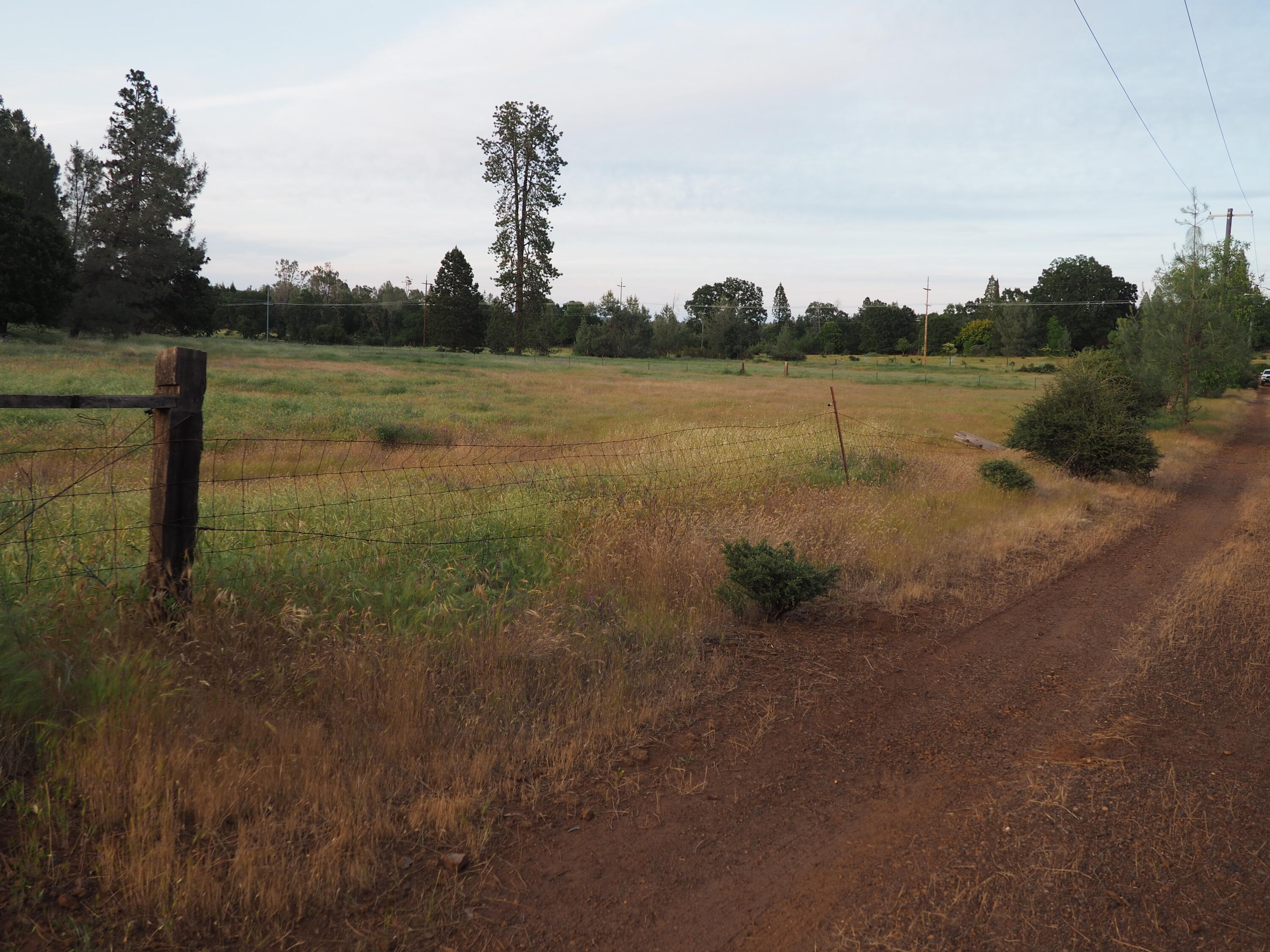 21705 South Powerhouse Road Manton, CA 96059 - Photo 6 of 15 a view of a lake view with houses in back