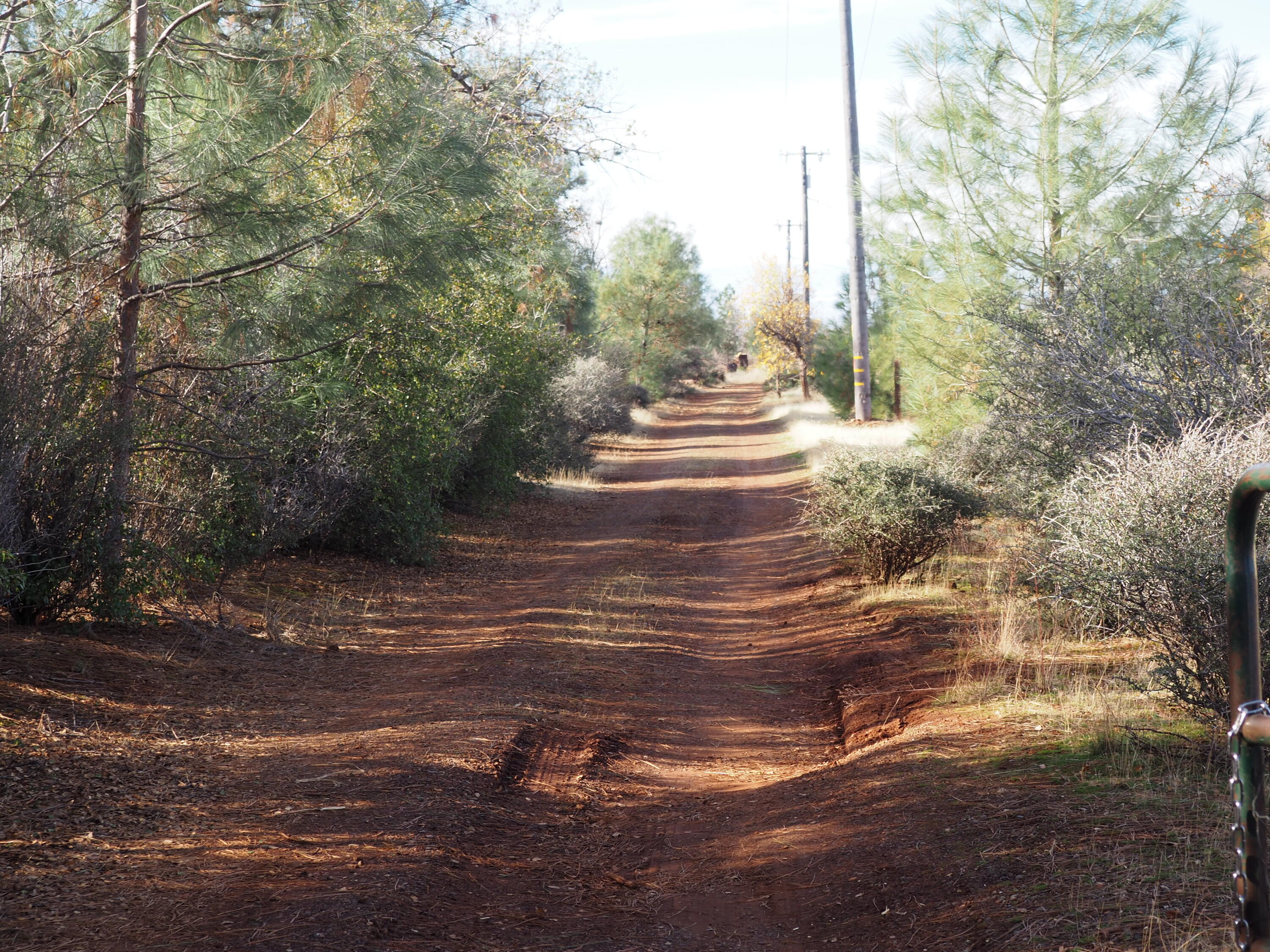 21705 South Powerhouse Road Manton, CA 96059 - Photo 7 of 15 a view of a road with an outdoor space