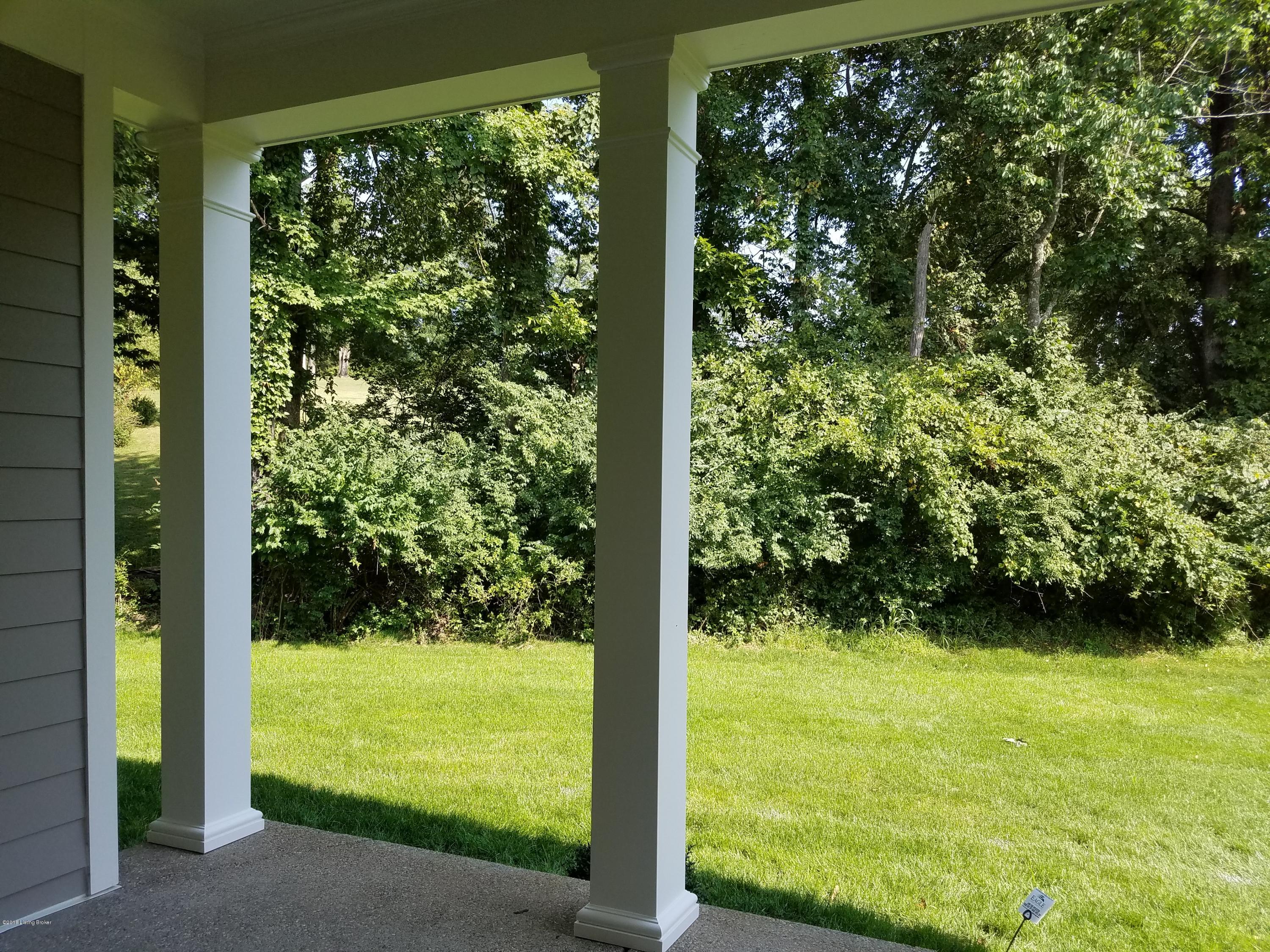 6714 Regal Road Louisville, KY 40222 - Photo 47 of 49 Summer views