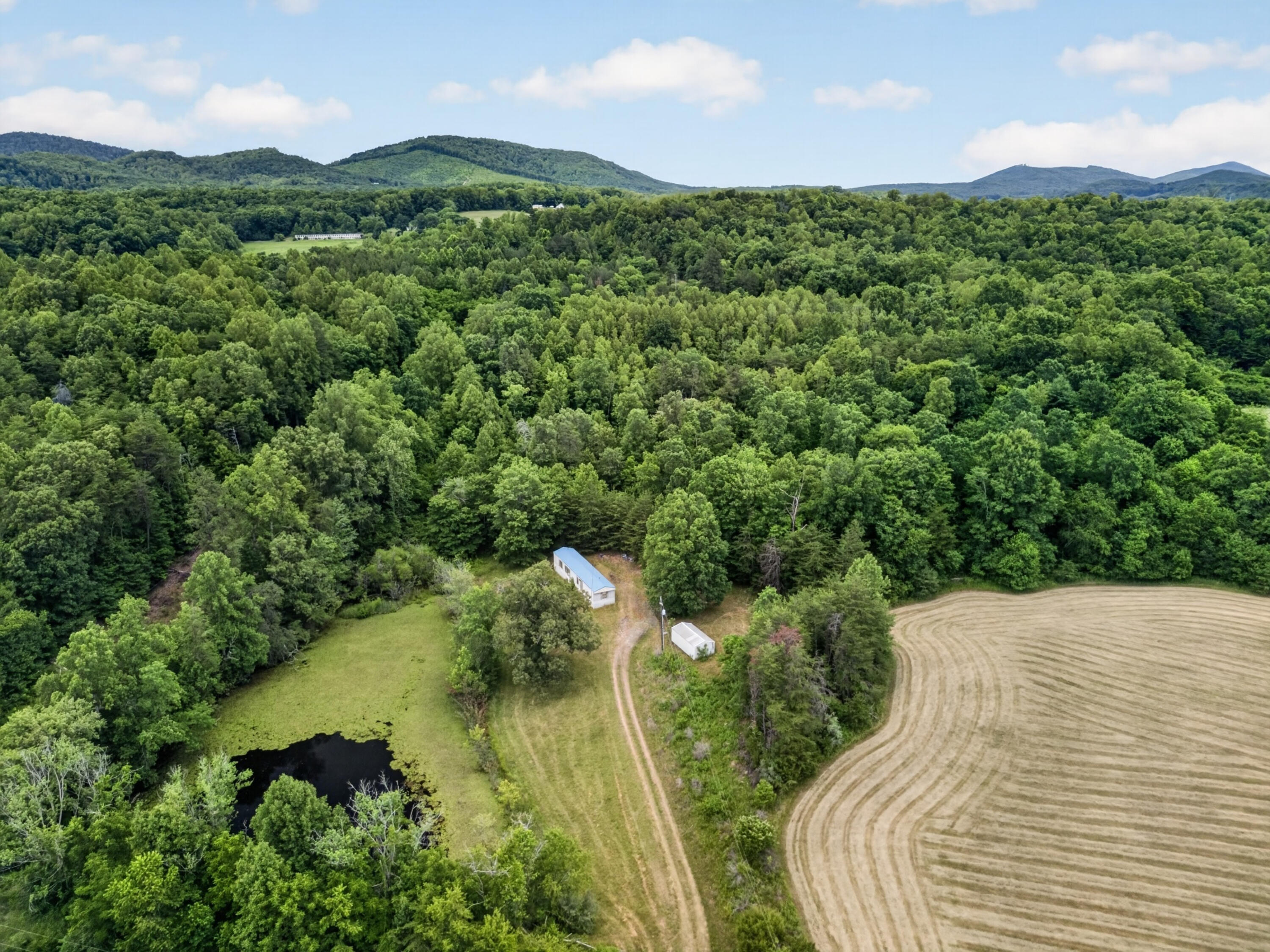 317 Beards Creek Road Ferrum, VA 24088 - Photo 27 of 32 DJI_0531